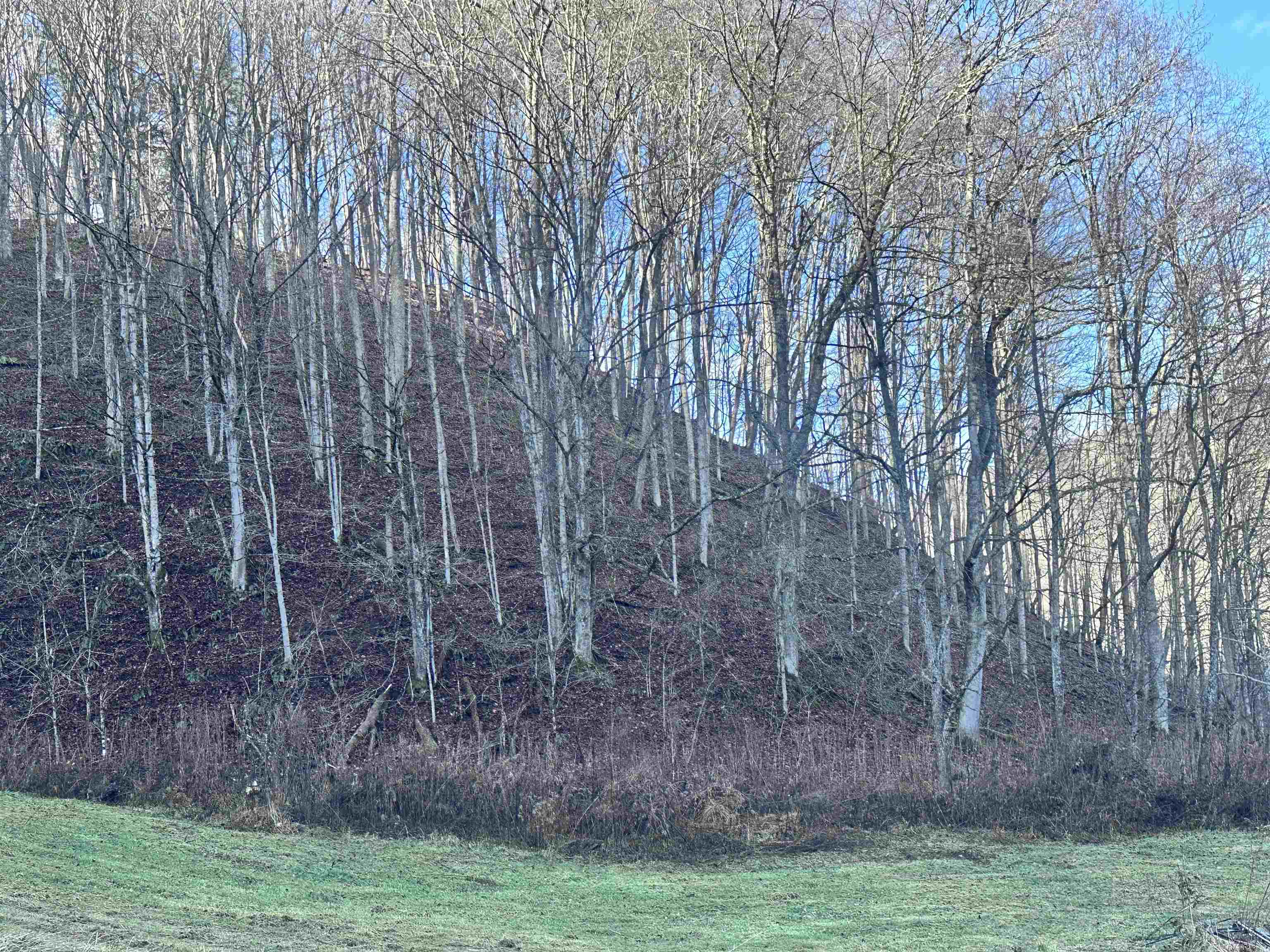 7688 Mud Fork Road Bluefield VA 24605