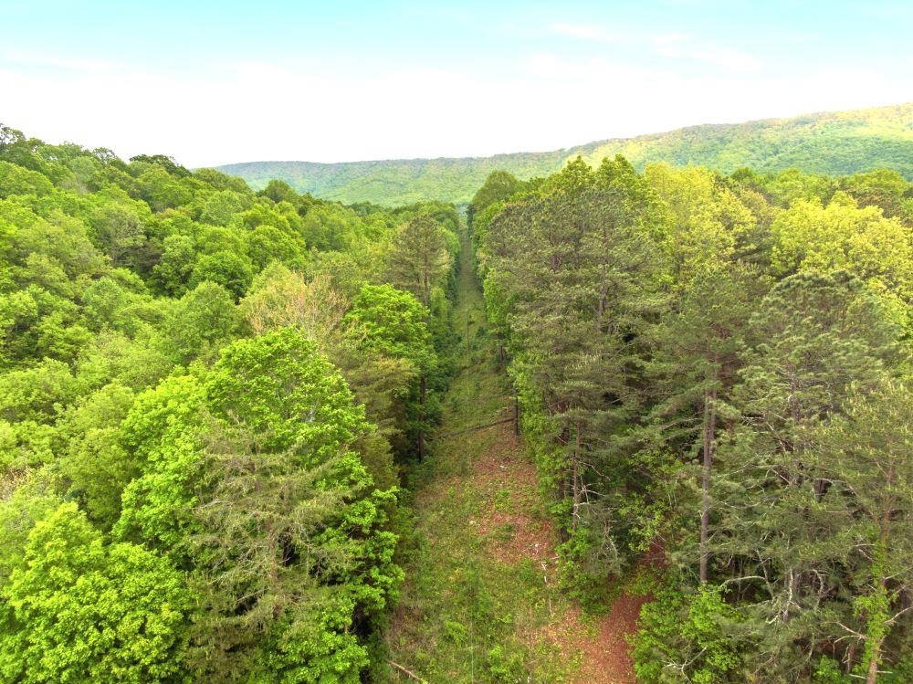 1961 Wolf Creek Road Narrows VA 24124