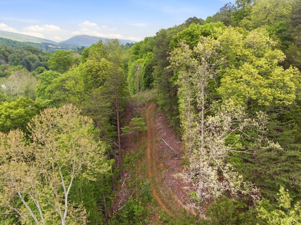 1961 Wolf Creek Road Narrows VA 24124
