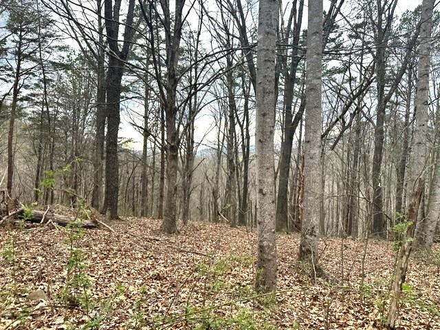 1961 Wolf Creek Road Narrows VA 24124