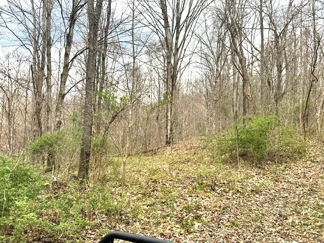 1961 Wolf Creek Road Narrows VA 24124