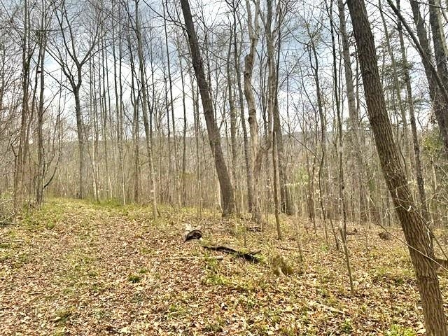 1961 Wolf Creek Road Narrows VA 24124