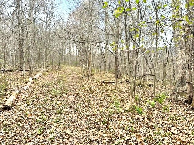 1961 Wolf Creek Road Narrows VA 24124