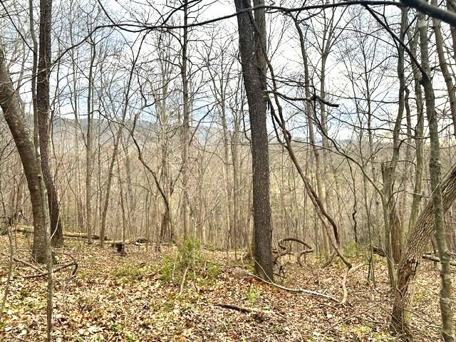 1961 Wolf Creek Road Narrows VA 24124