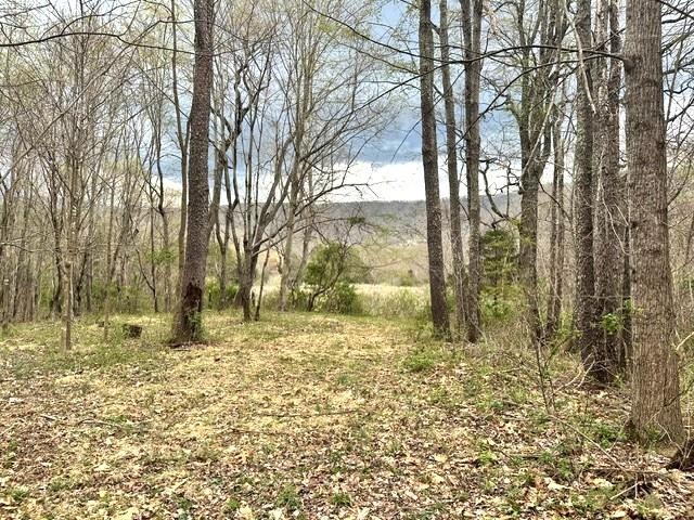 1961 Wolf Creek Road Narrows VA 24124