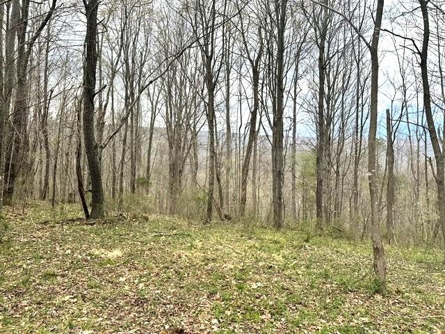 1961 Wolf Creek Road Narrows VA 24124