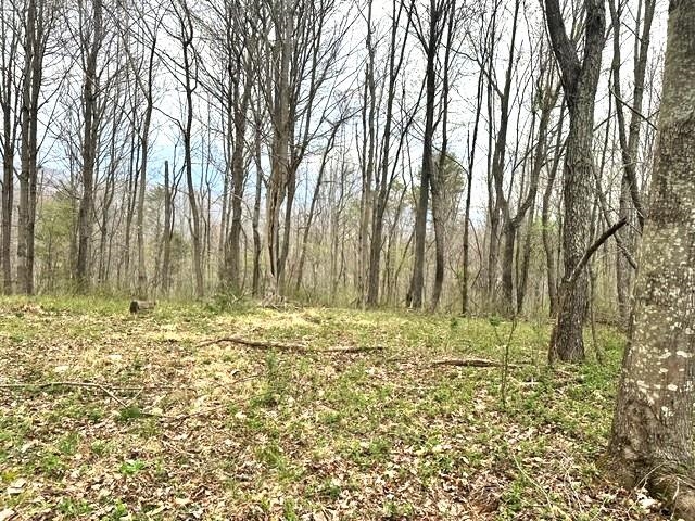 1961 Wolf Creek Road Narrows VA 24124