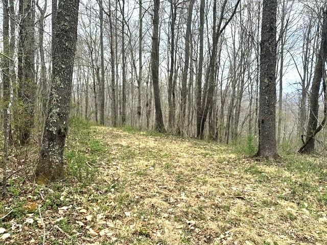 1961 Wolf Creek Road Narrows VA 24124