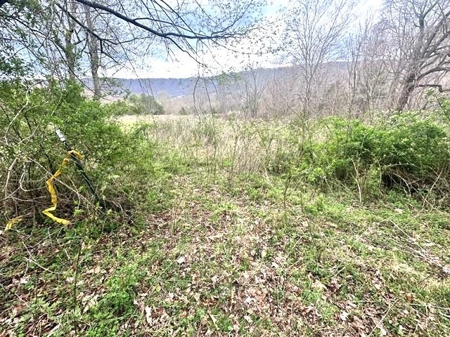 1961 Wolf Creek Road Narrows VA 24124