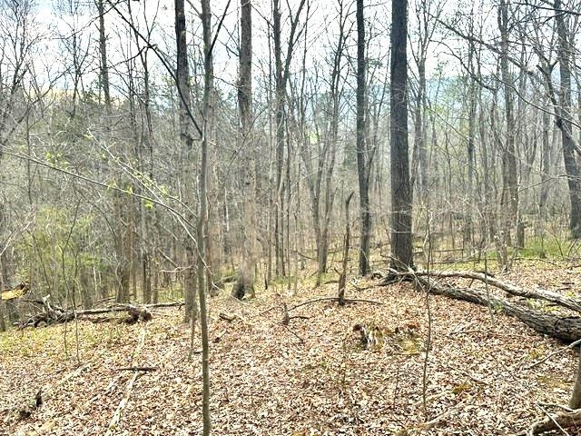 1961 Wolf Creek Road Narrows VA 24124