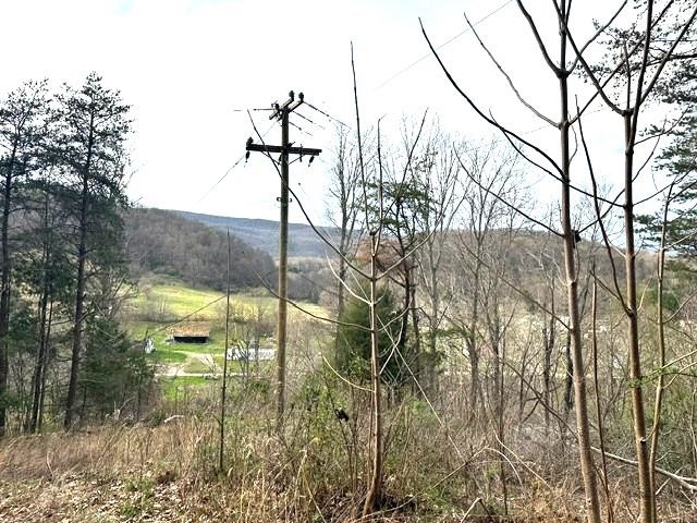 1961 Wolf Creek Road Narrows VA 24124