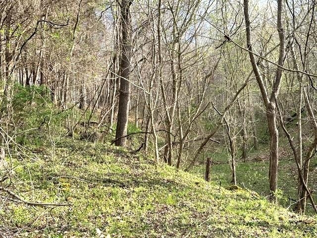 1961 Wolf Creek Road Narrows VA 24124