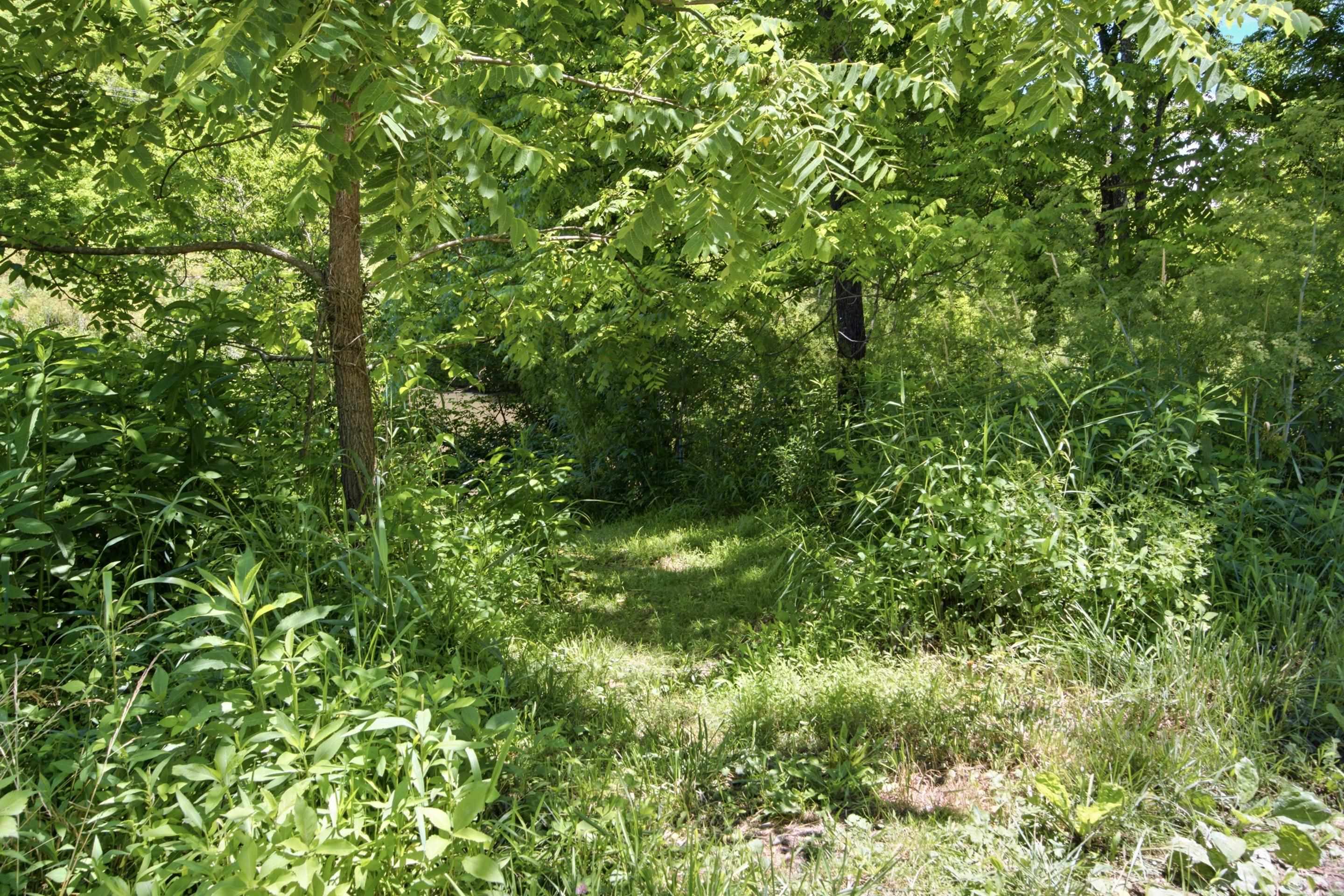 398 Sowers Mill Dam Road NE Riner VA 24149