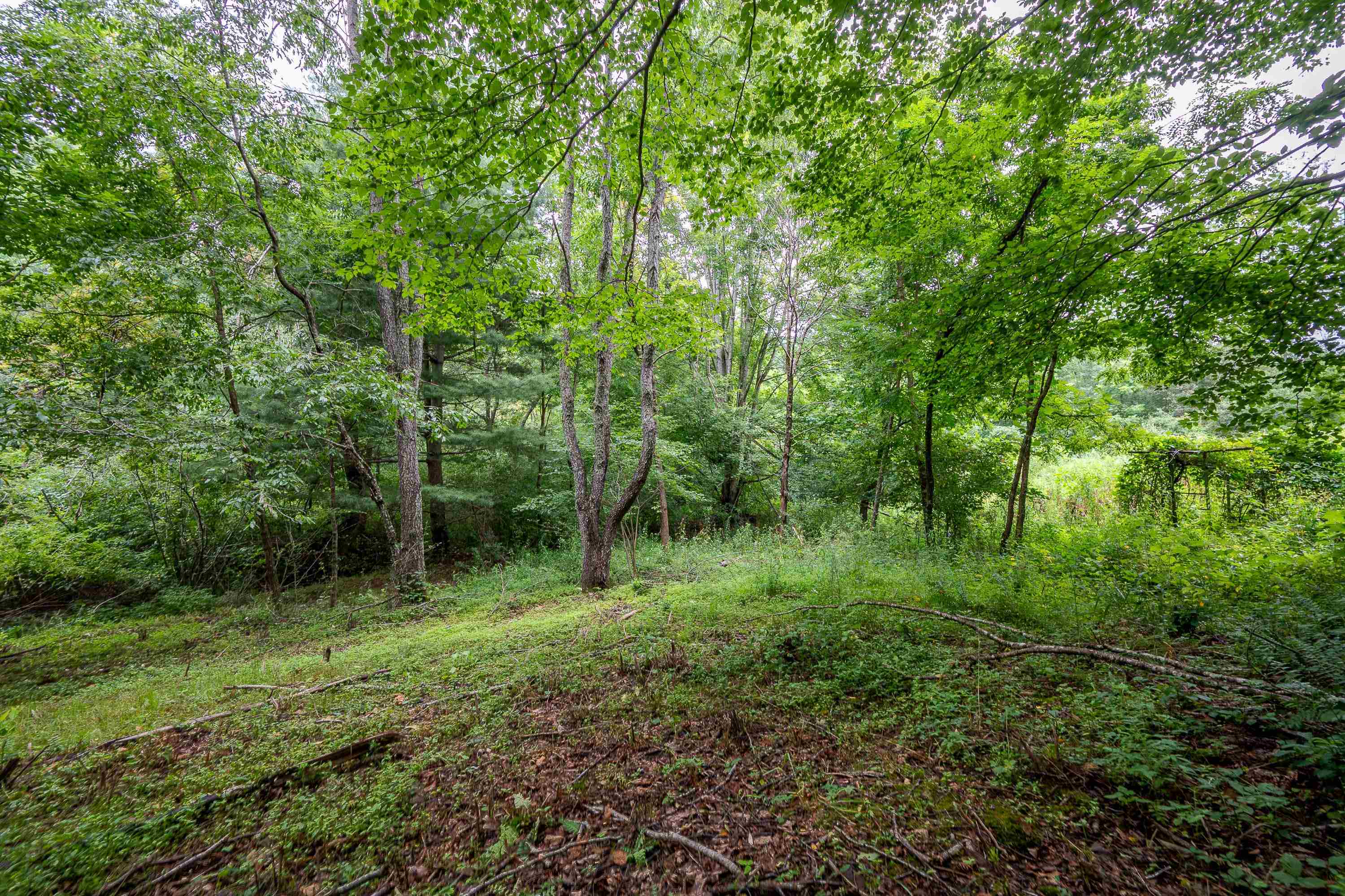 2890 Stonewall Road NW Pilot VA 24138