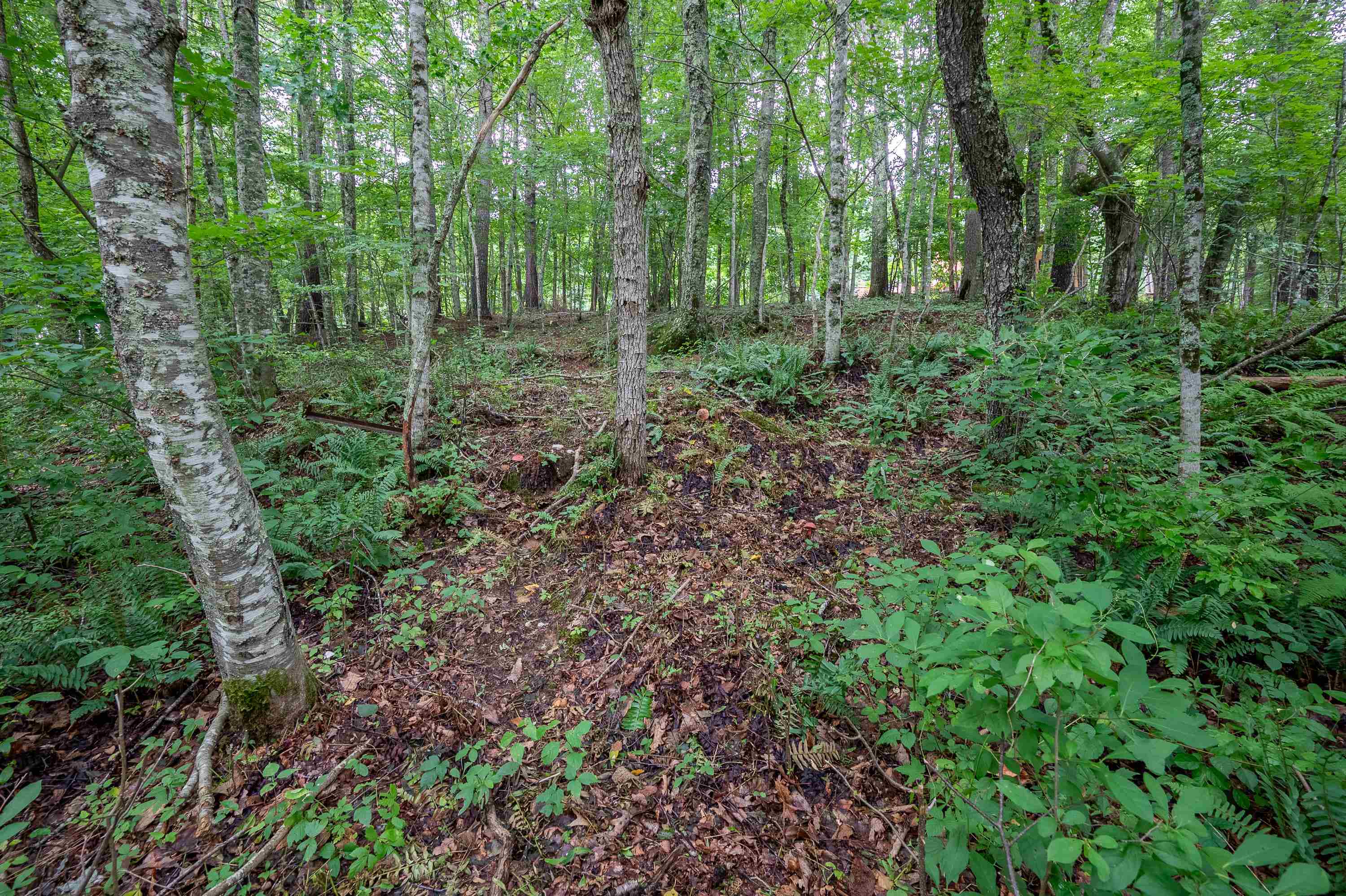 2890 Stonewall Road NW Pilot VA 24138