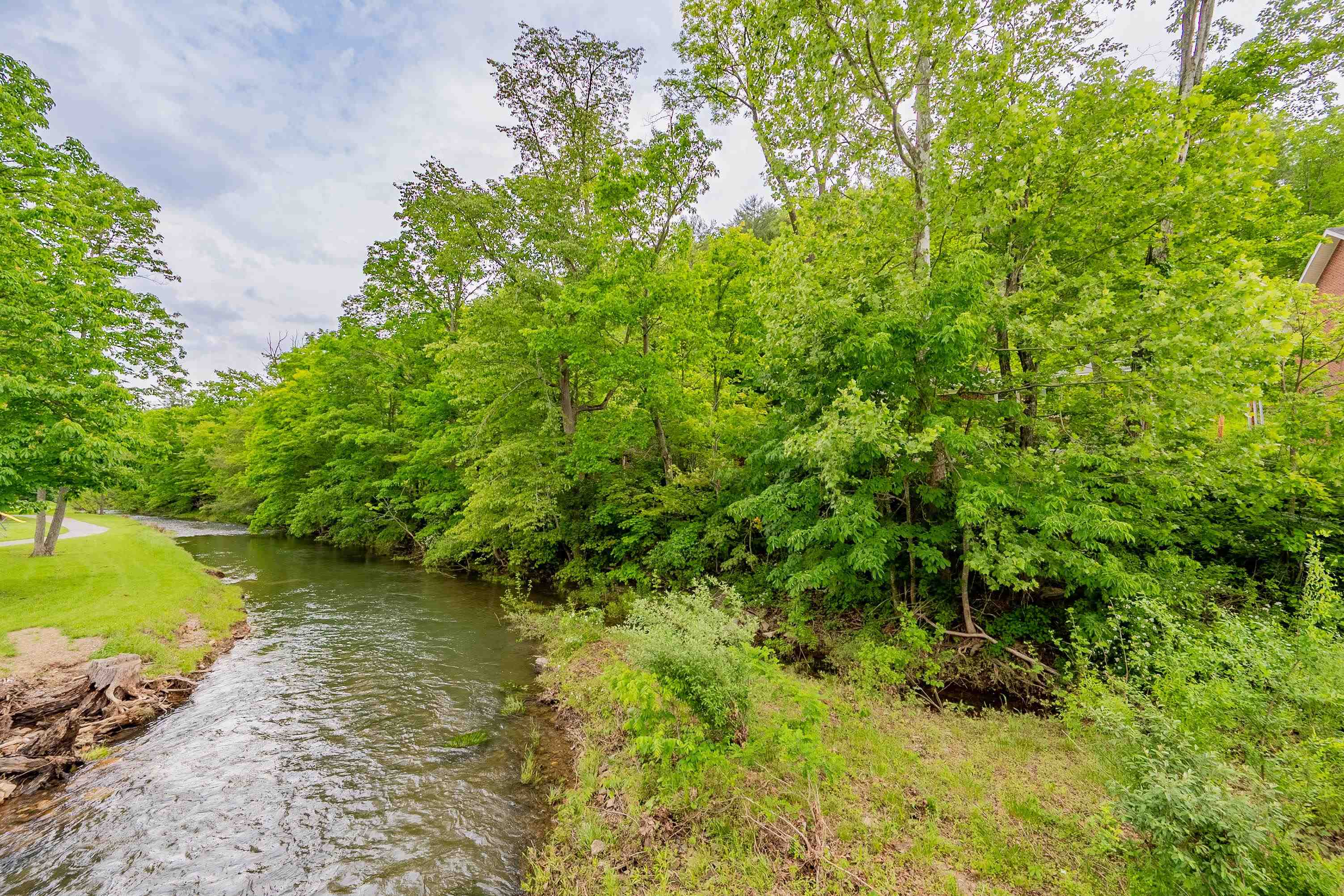 51 Bears Trail Bastian VA 24314