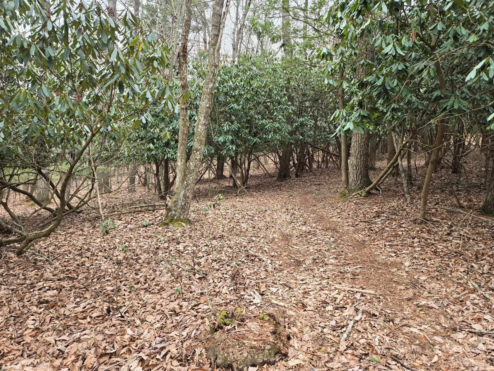 511 Hidden Valley Road Wytheville VA 24382