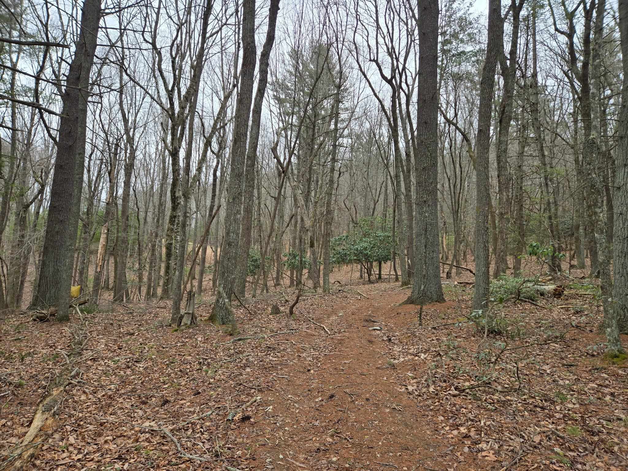 511 Hidden Valley Road Wytheville VA 24382