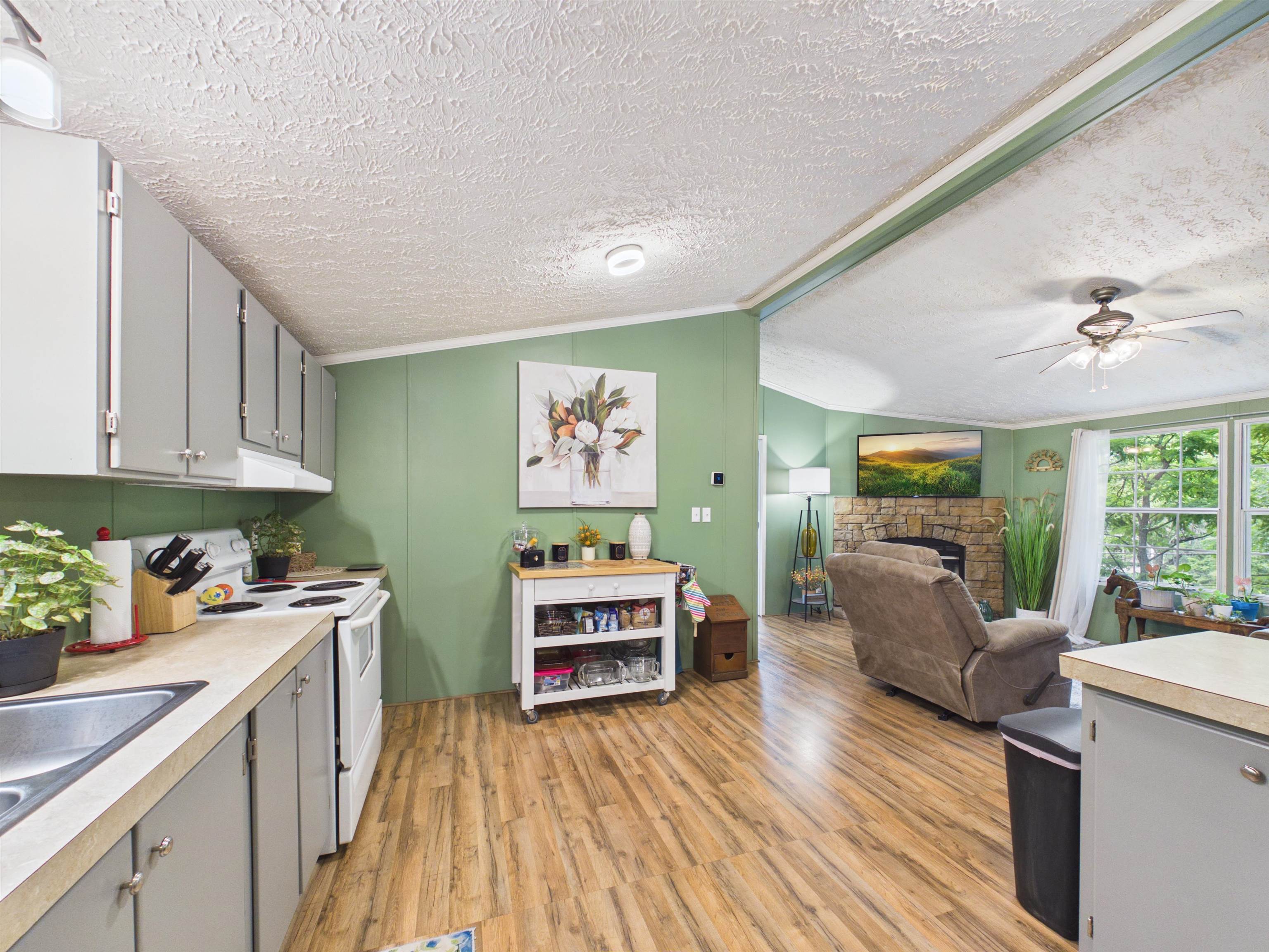 120 Holly Street Pulaski VA 24301