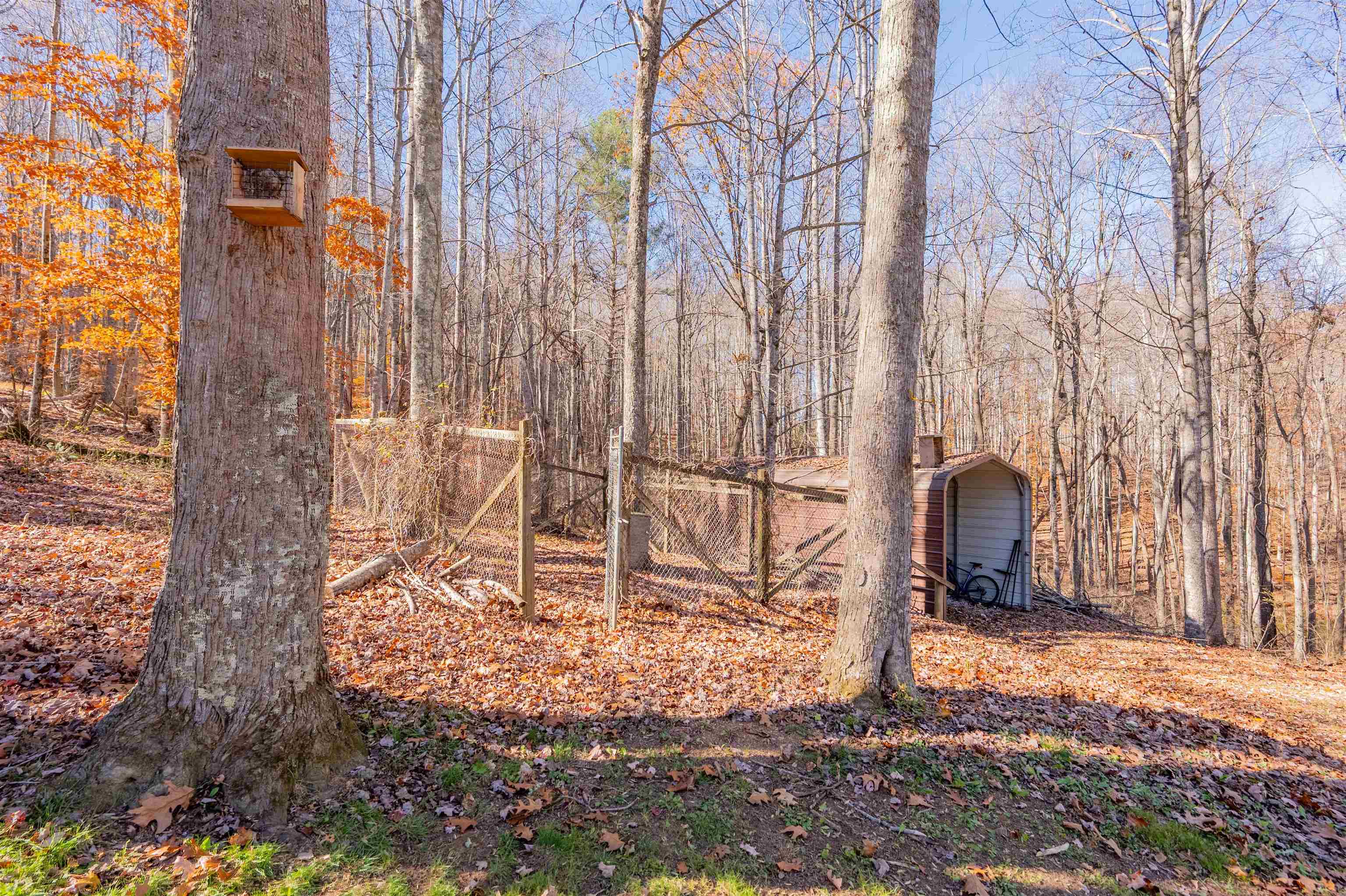 1126 Duncans Chapel Road Willis VA 24380