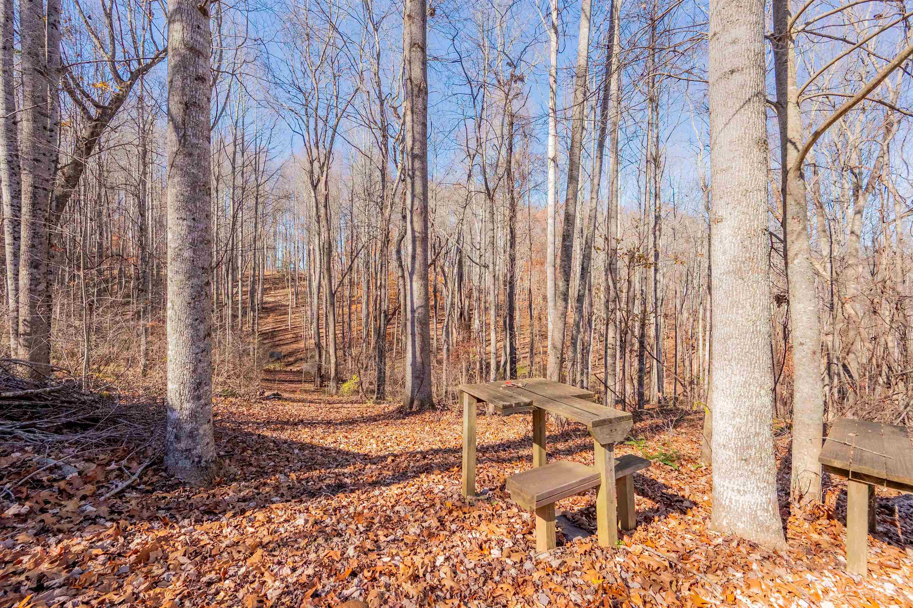 1126 Duncans Chapel Road Willis VA 24380