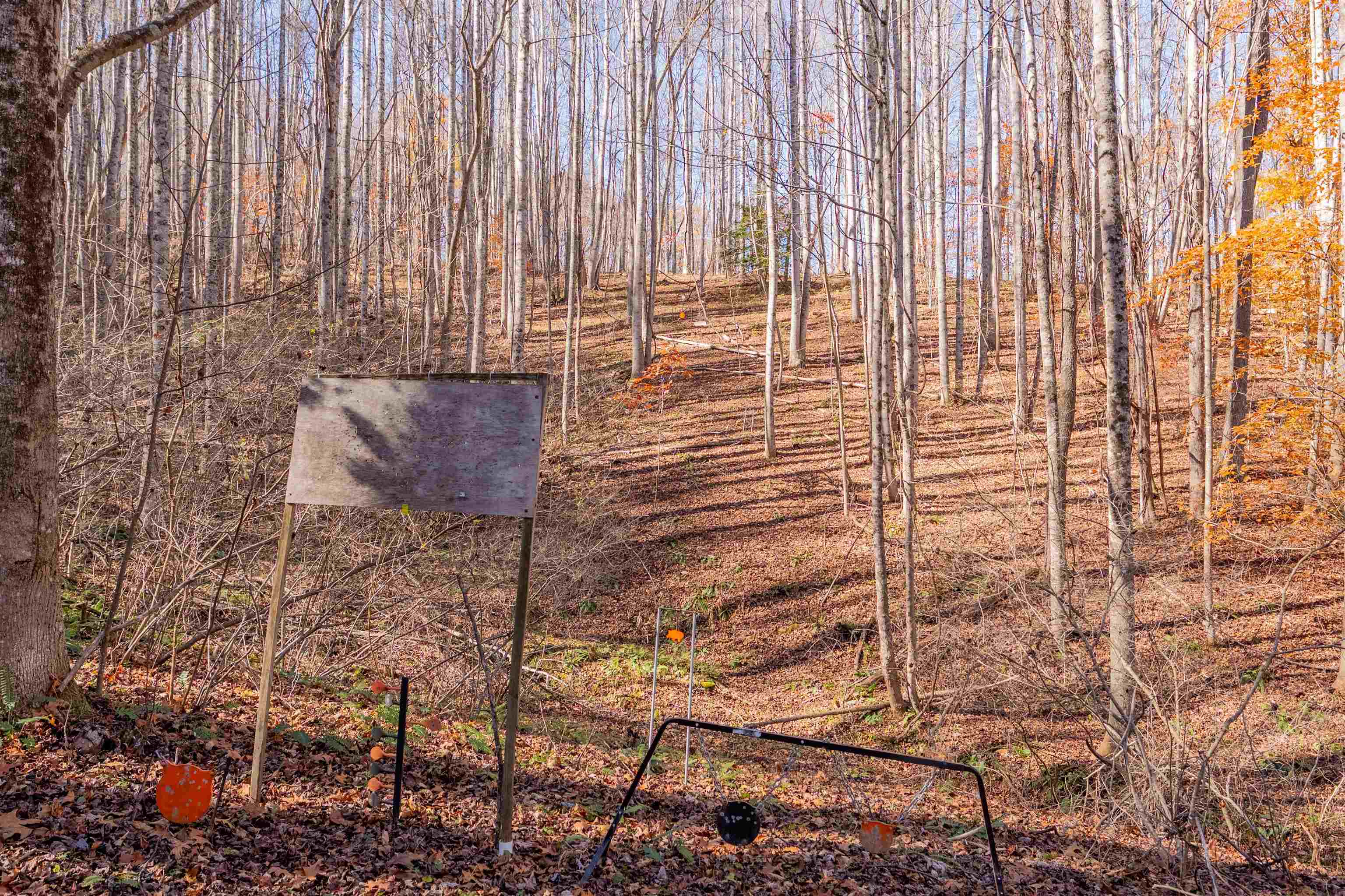 1126 Duncans Chapel Road Willis VA 24380