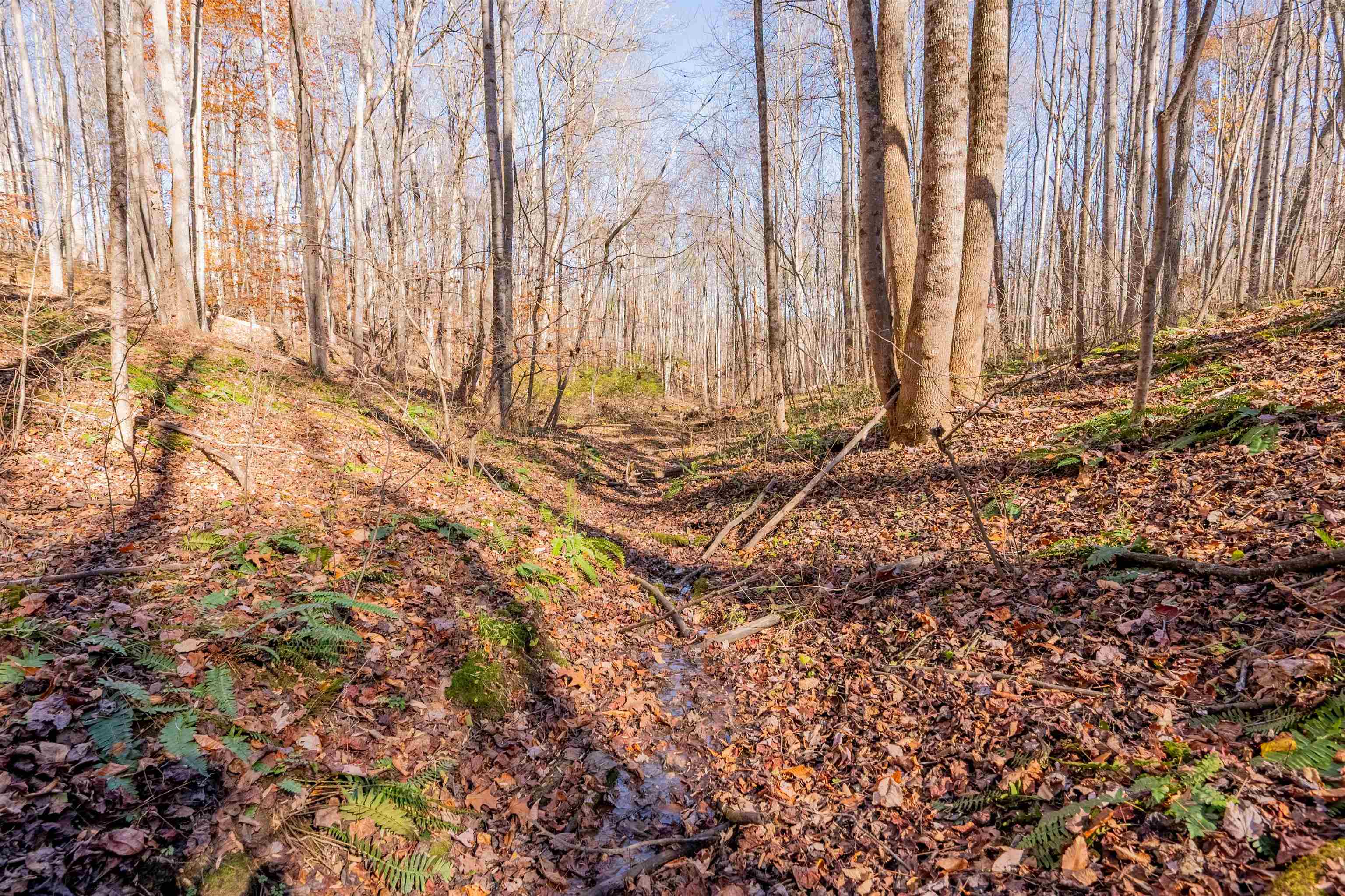 1126 Duncans Chapel Road Willis VA 24380