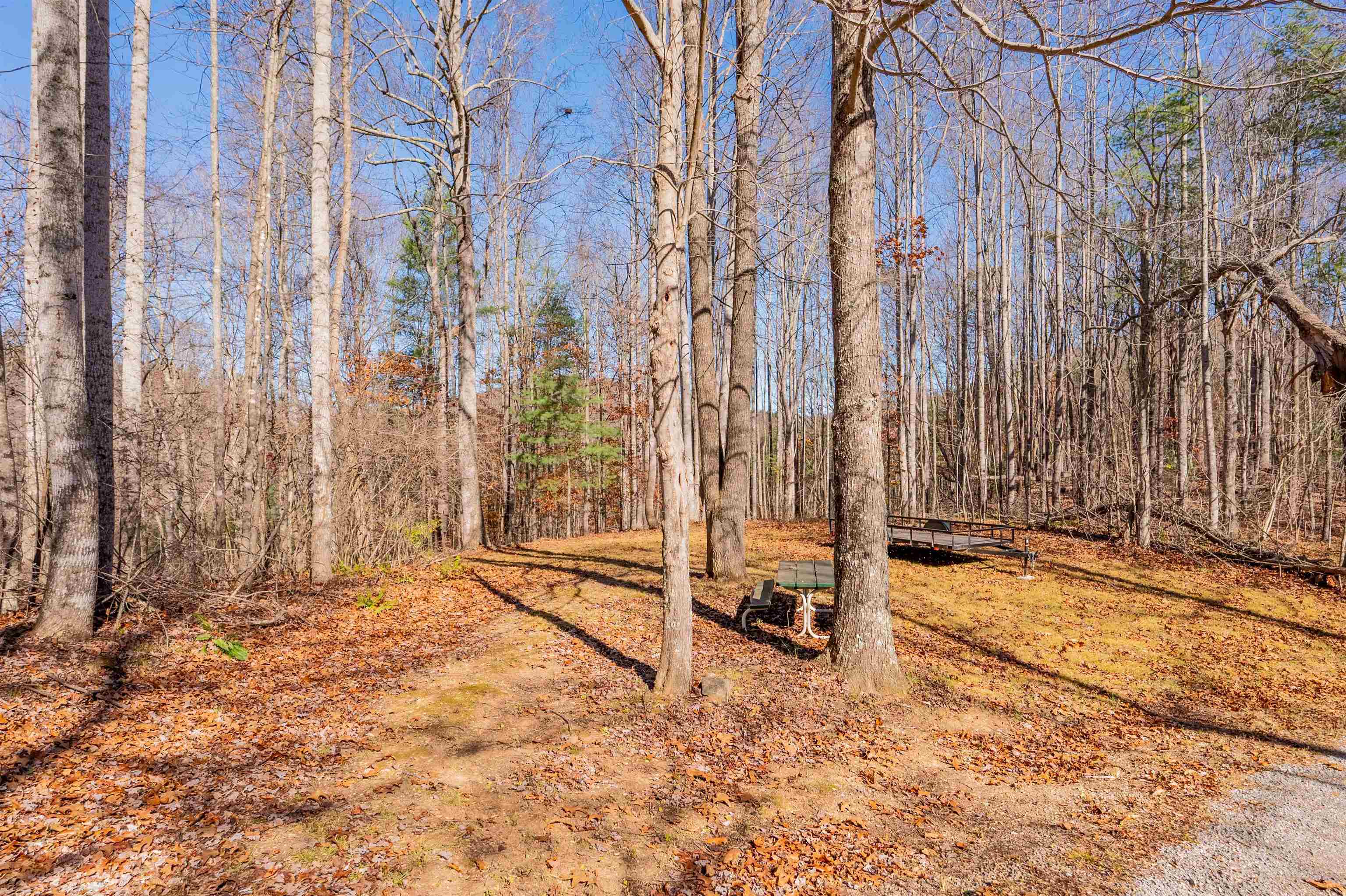 1126 Duncans Chapel Road Willis VA 24380