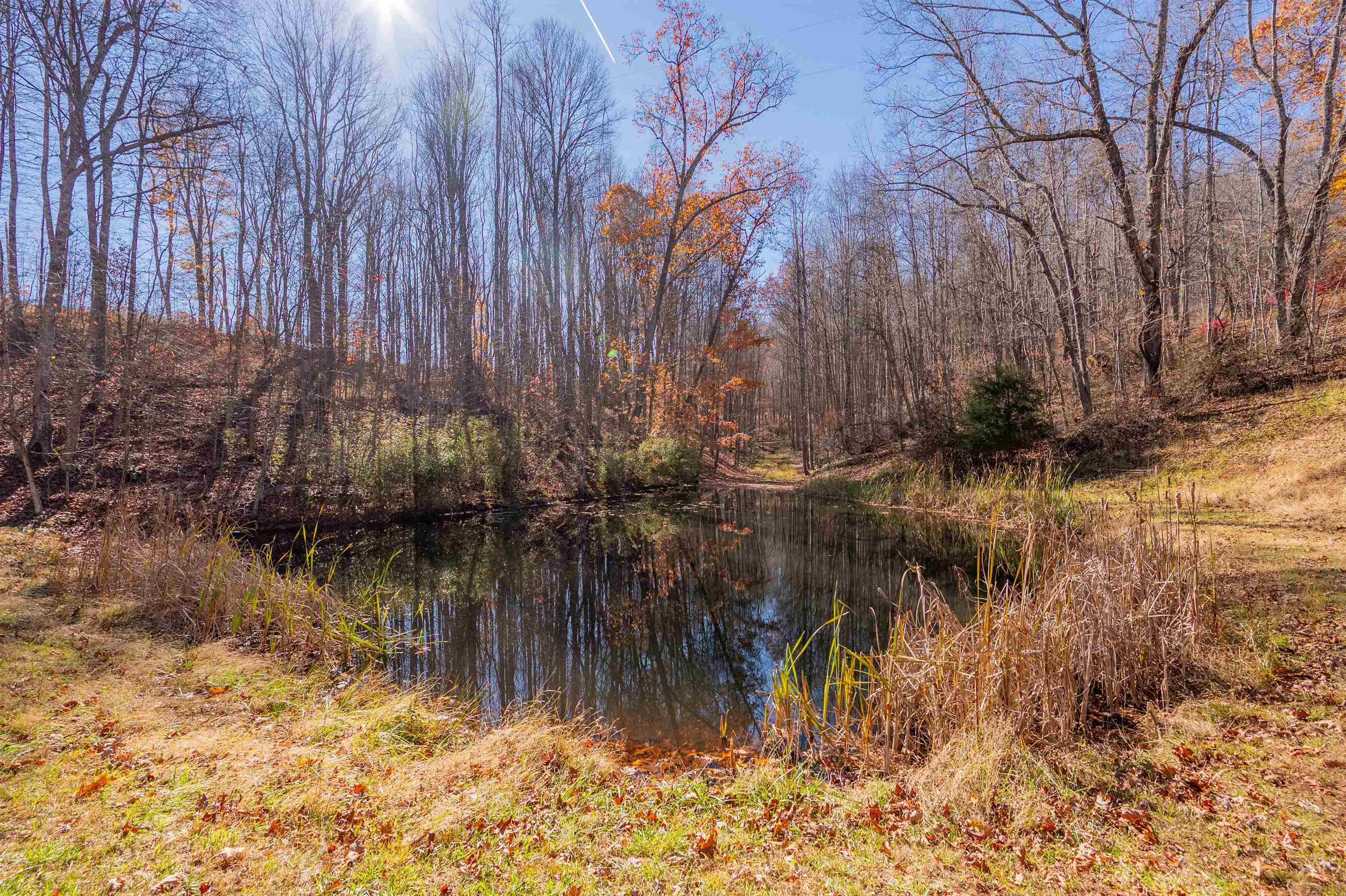 1126 Duncans Chapel Road Willis VA 24380