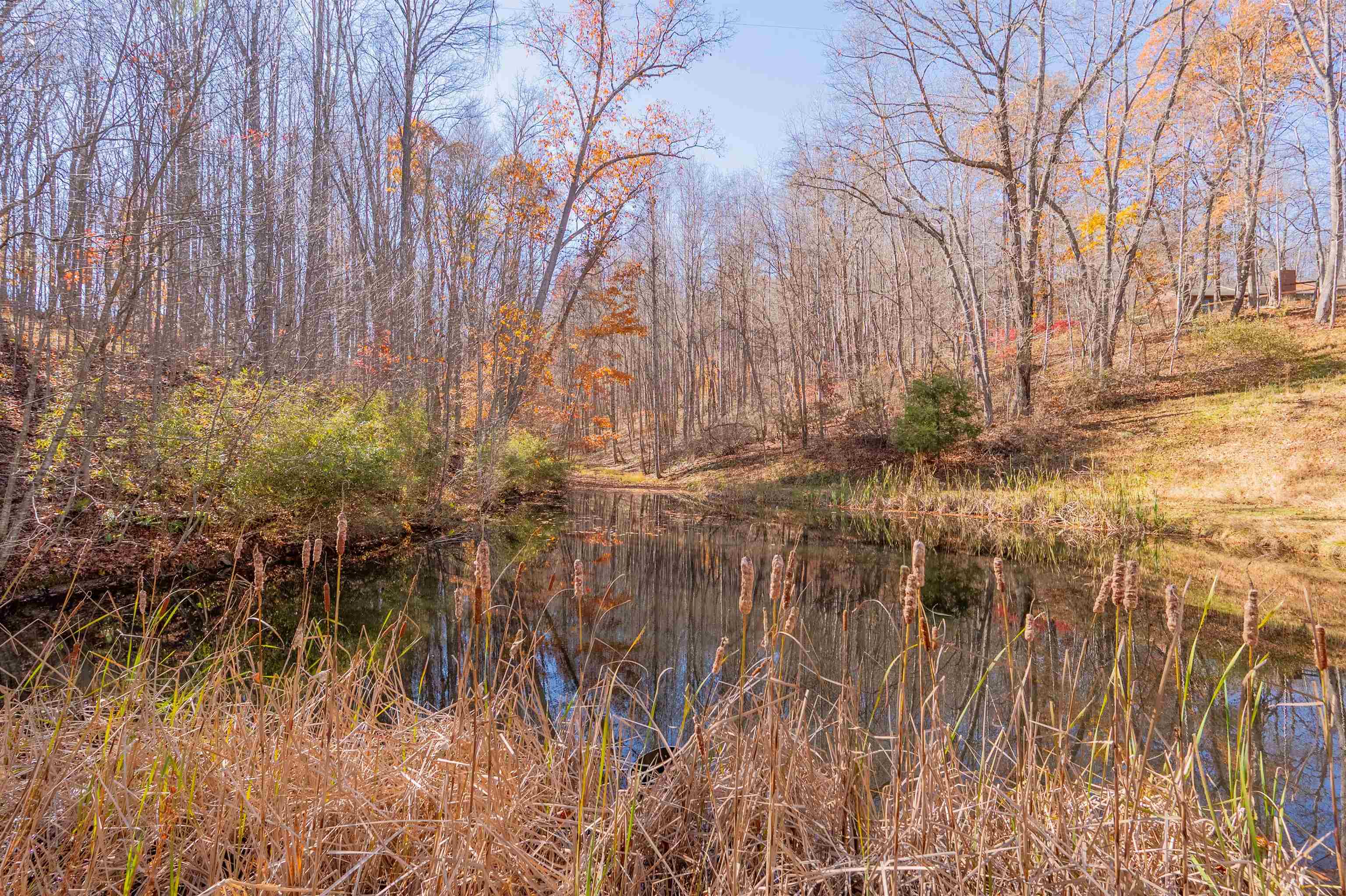 1126 Duncans Chapel Road Willis VA 24380