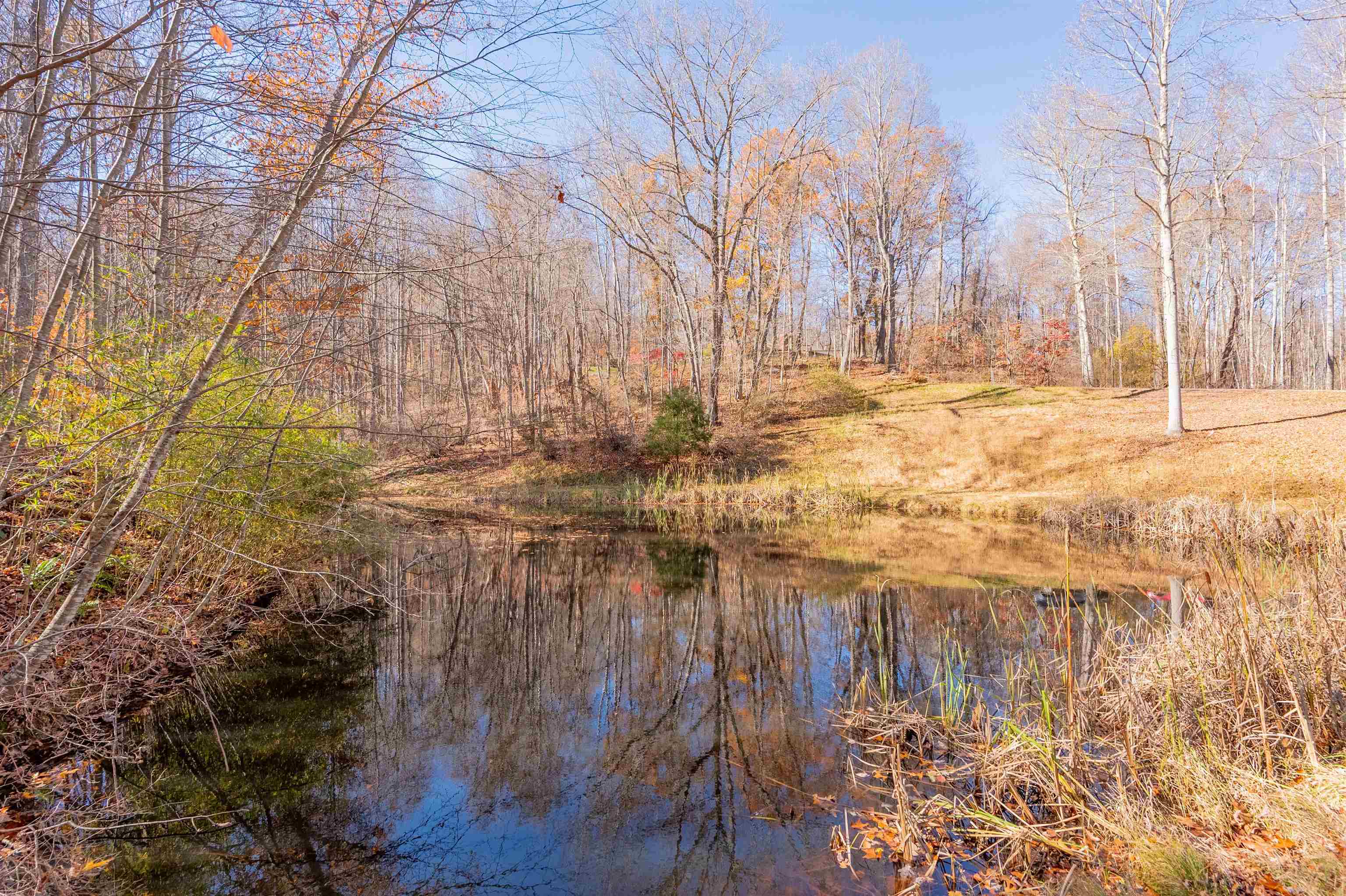 1126 Duncans Chapel Road Willis VA 24380