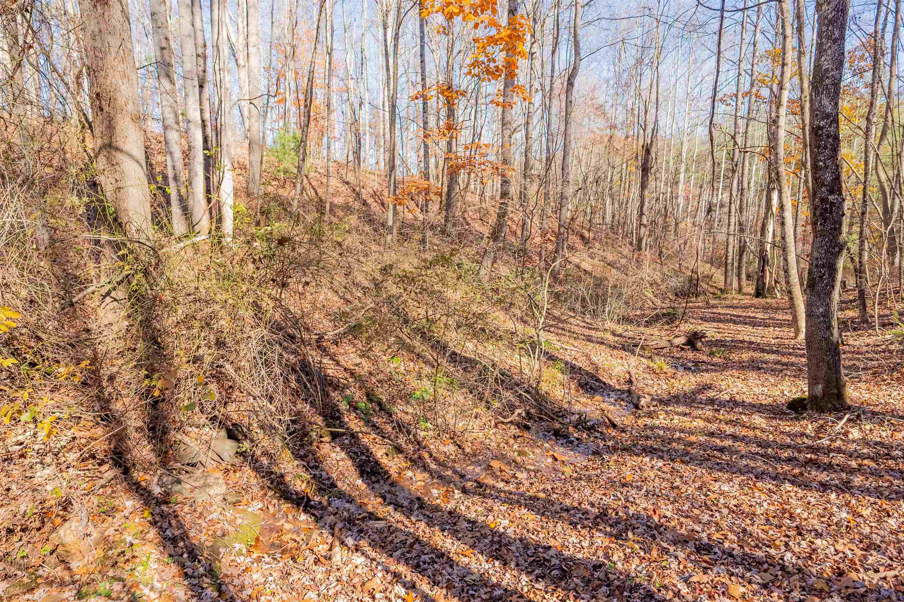 1126 Duncans Chapel Road Willis VA 24380