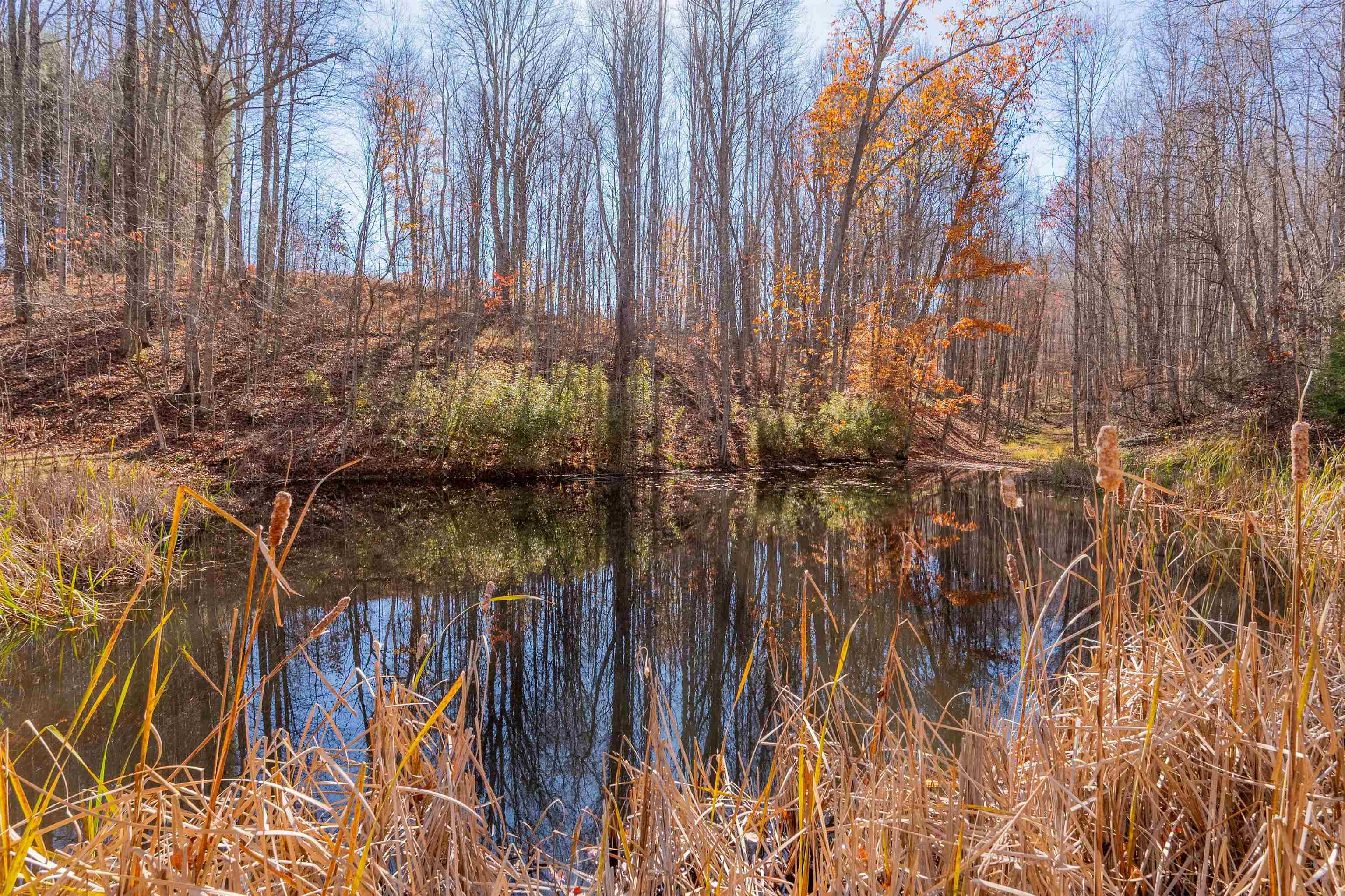 1126 Duncans Chapel Road Willis VA 24380