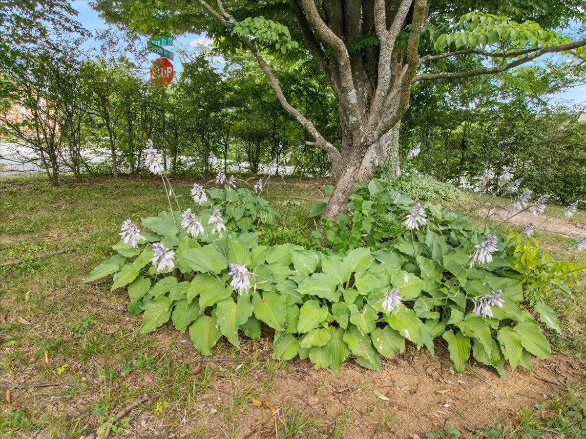 401 Stonegate Drive Blacksburg VA 24060