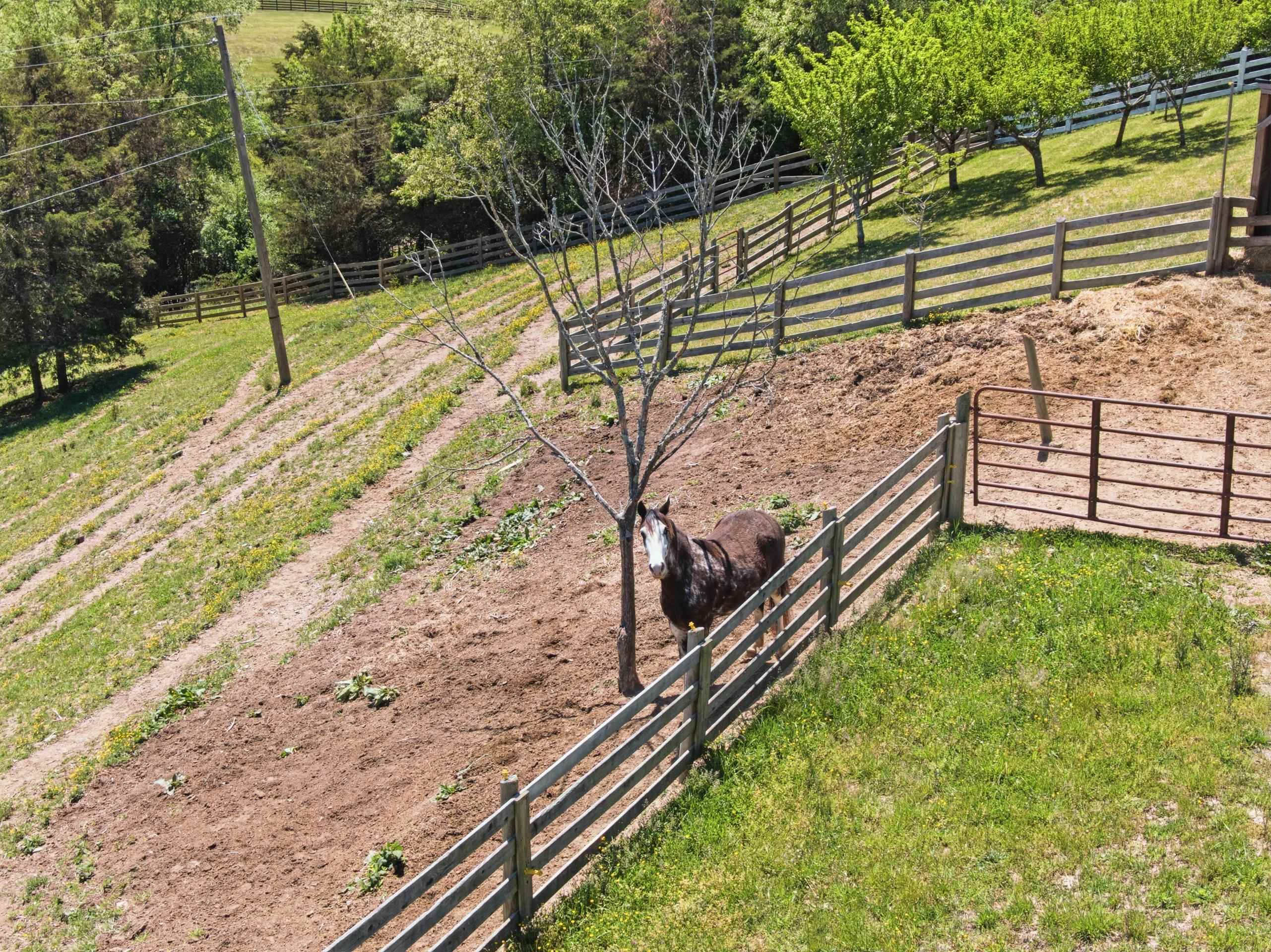 1305 Red Hawk Run Christiansburg VA 24073