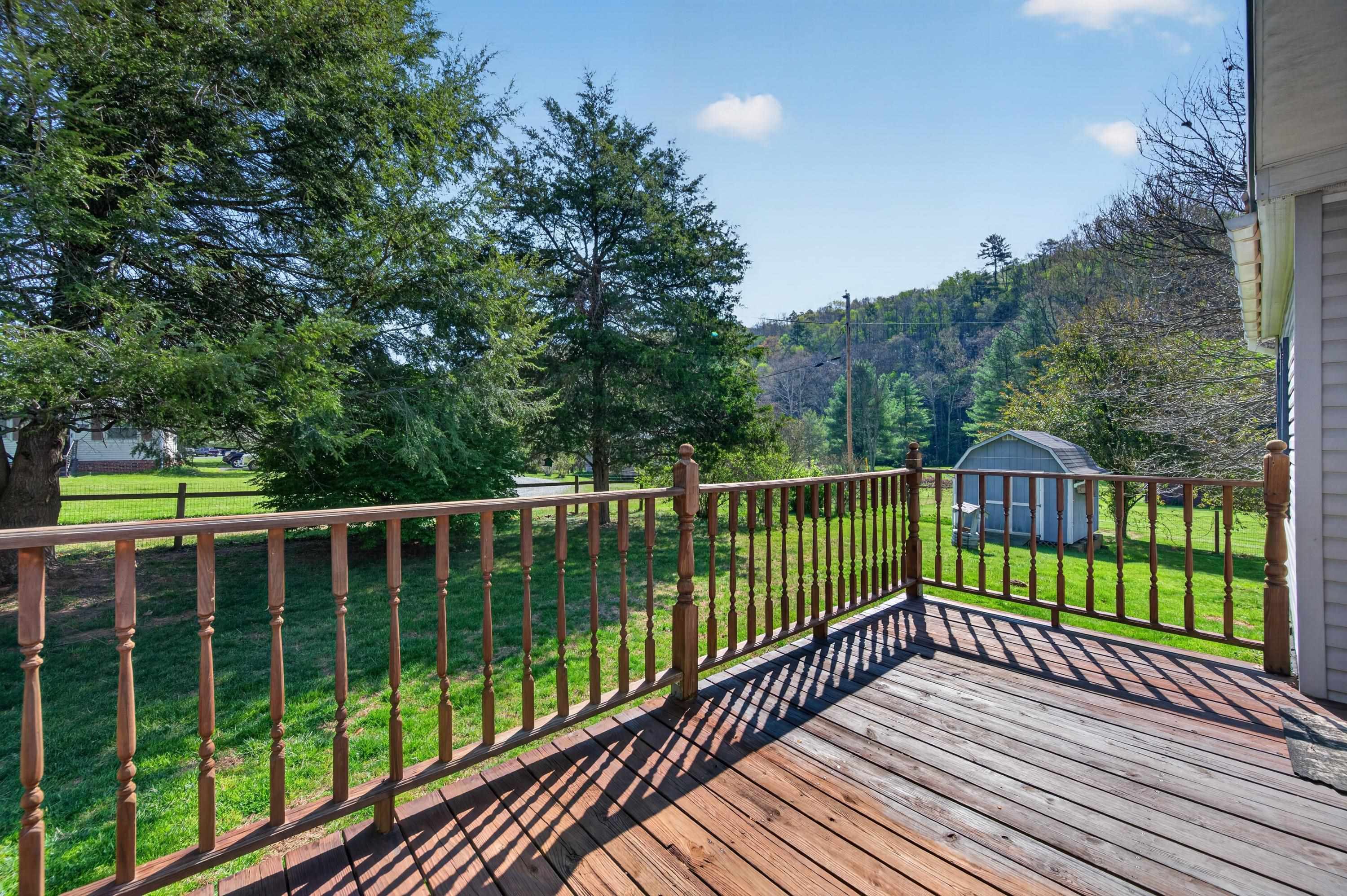 230 Cherry Lane Bastian VA 24314