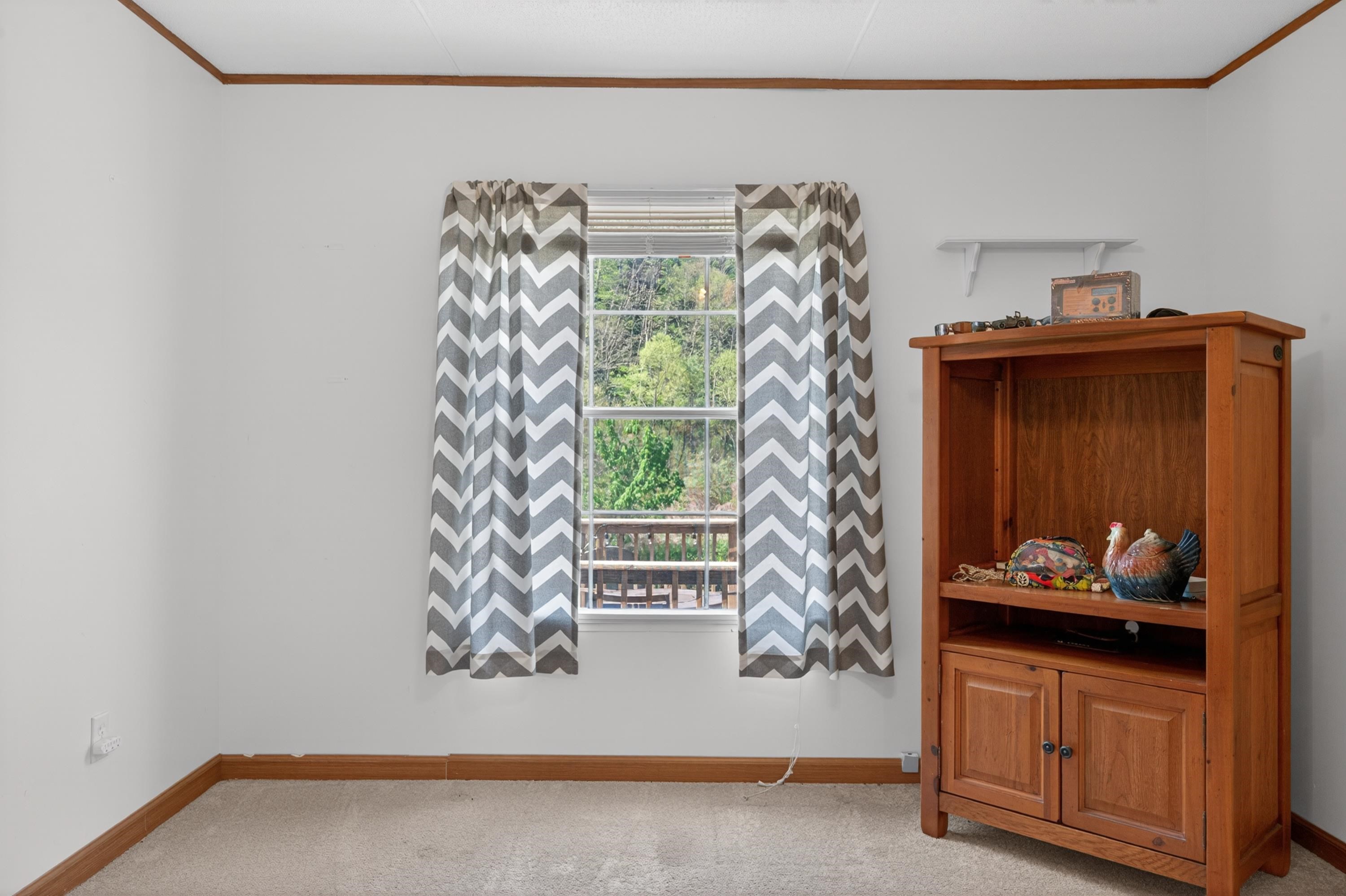 230 Cherry Lane Bastian VA 24314