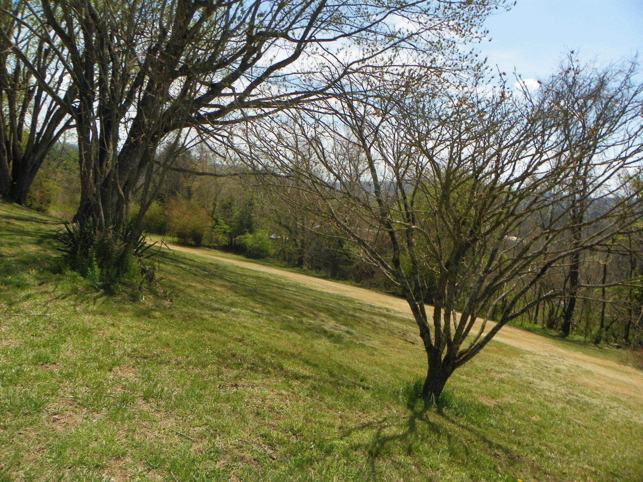 179 Sipe Lane Ivanhoe VA 24350