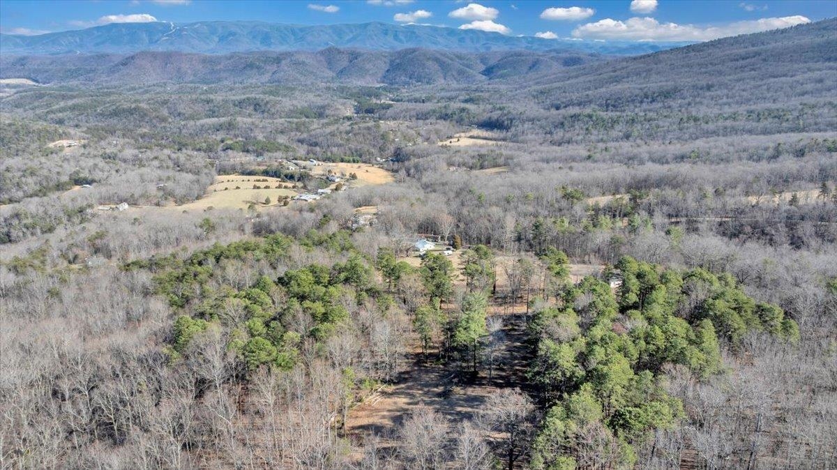 2534 Paris Mountain Road Elliston VA 24087