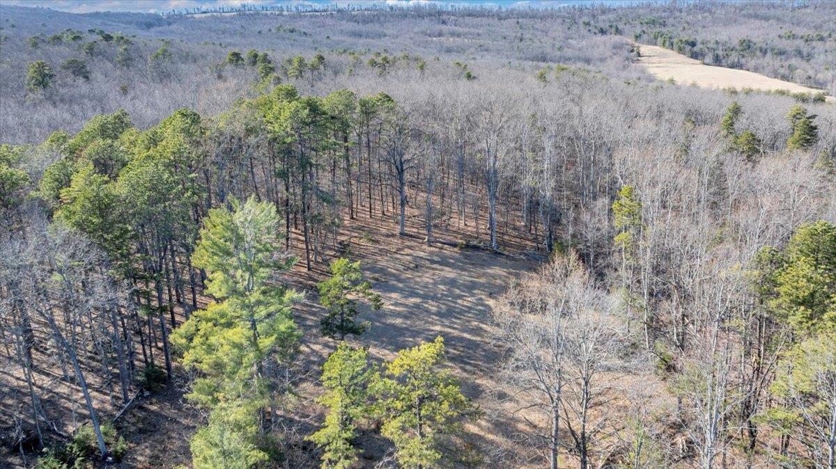 2534 Paris Mountain Road Elliston VA 24087