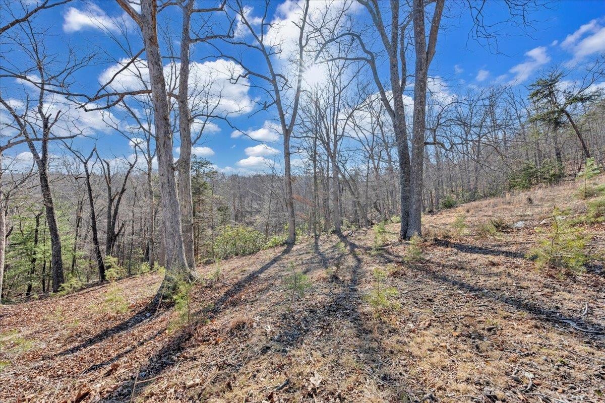 2534 Paris Mountain Road Elliston VA 24087