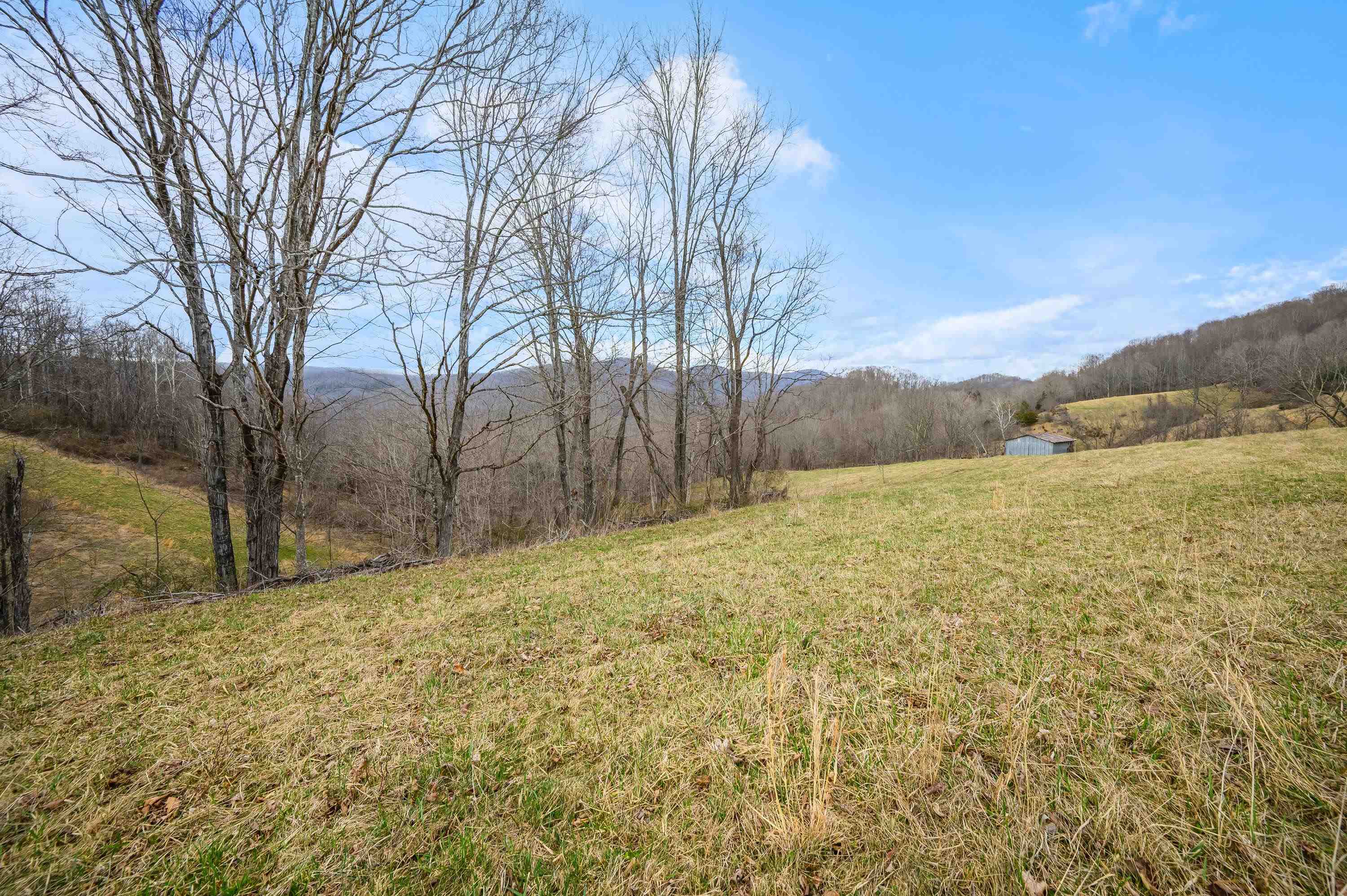 568 Round Bottom Drive Narrows VA 24124