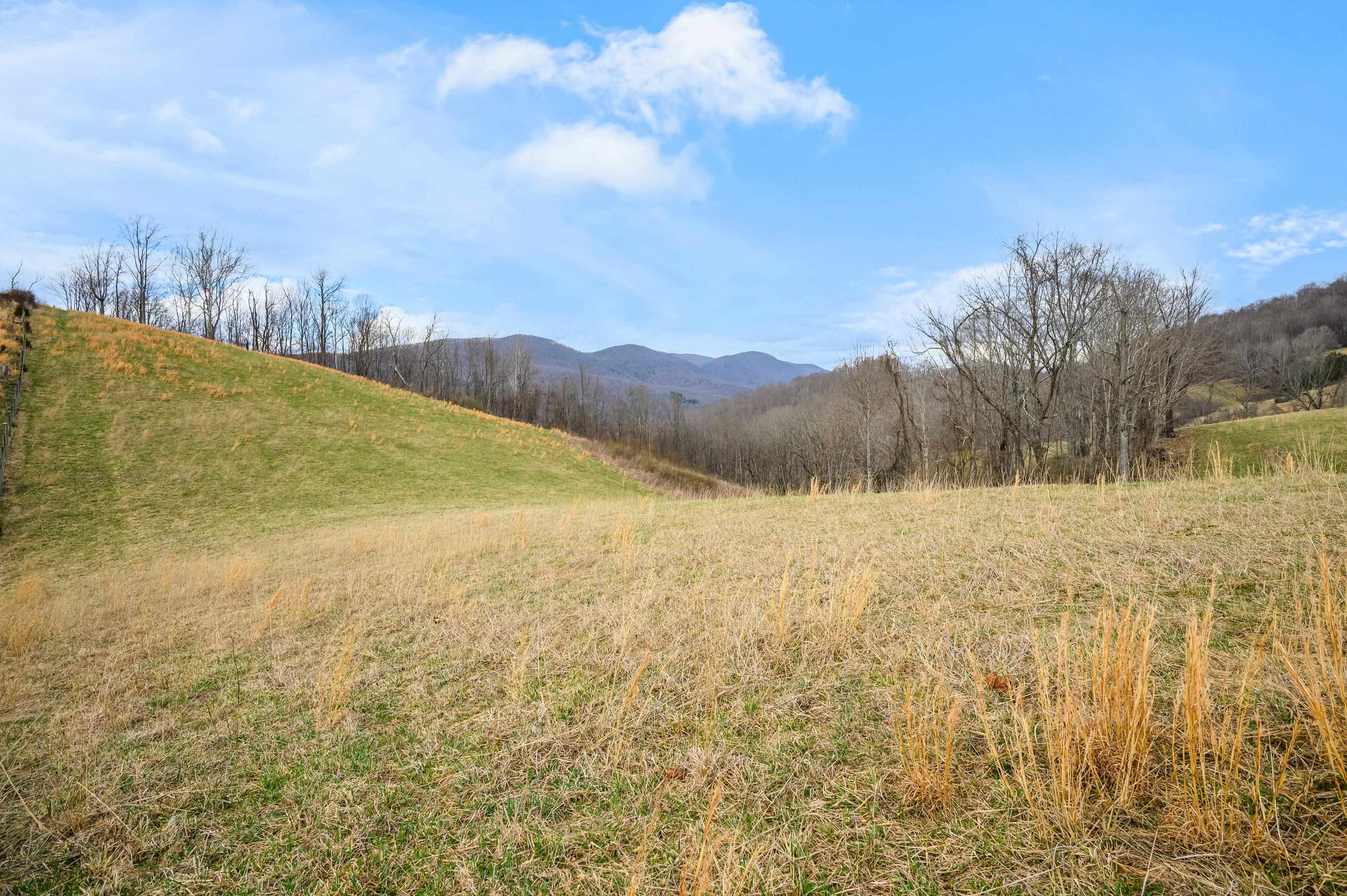 568 Round Bottom Drive Narrows VA 24124