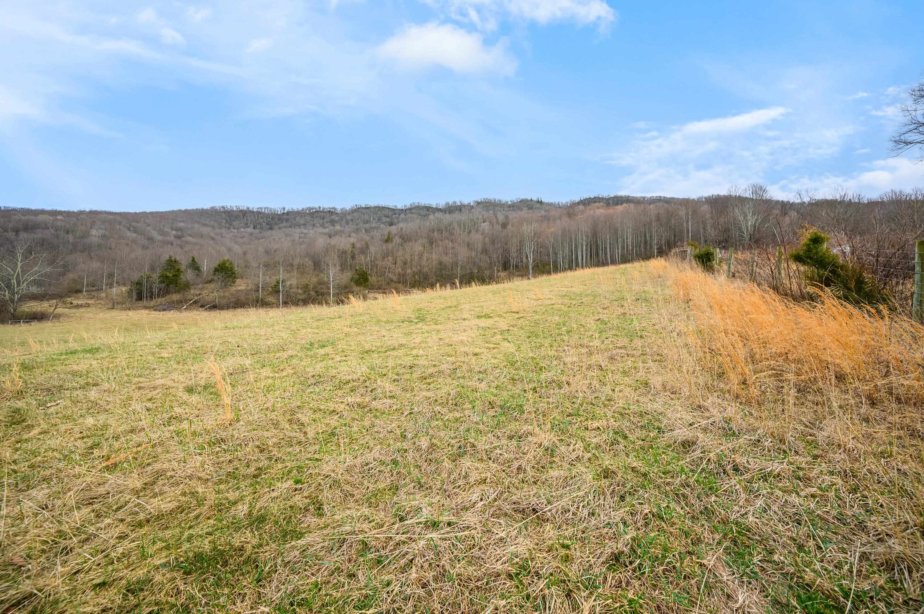 568 Round Bottom Drive Narrows VA 24124