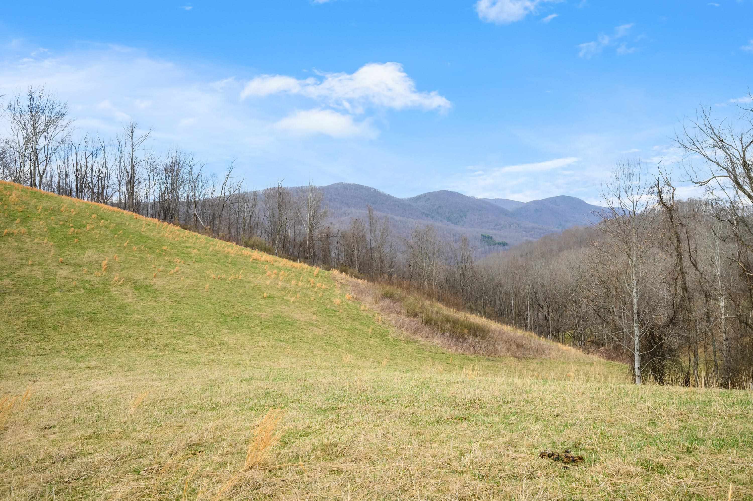 568 Round Bottom Drive Narrows VA 24124