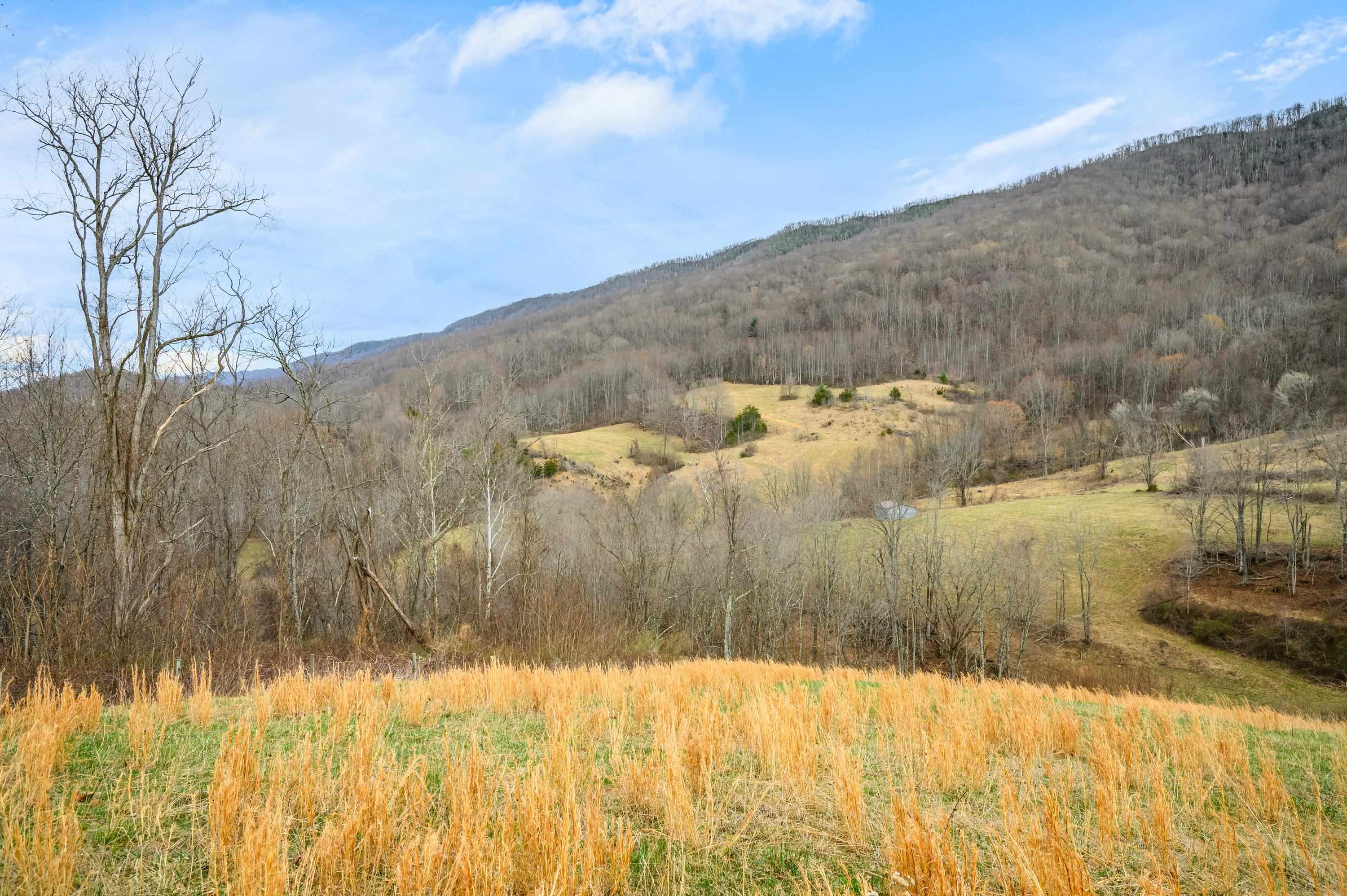 568 Round Bottom Drive Narrows VA 24124