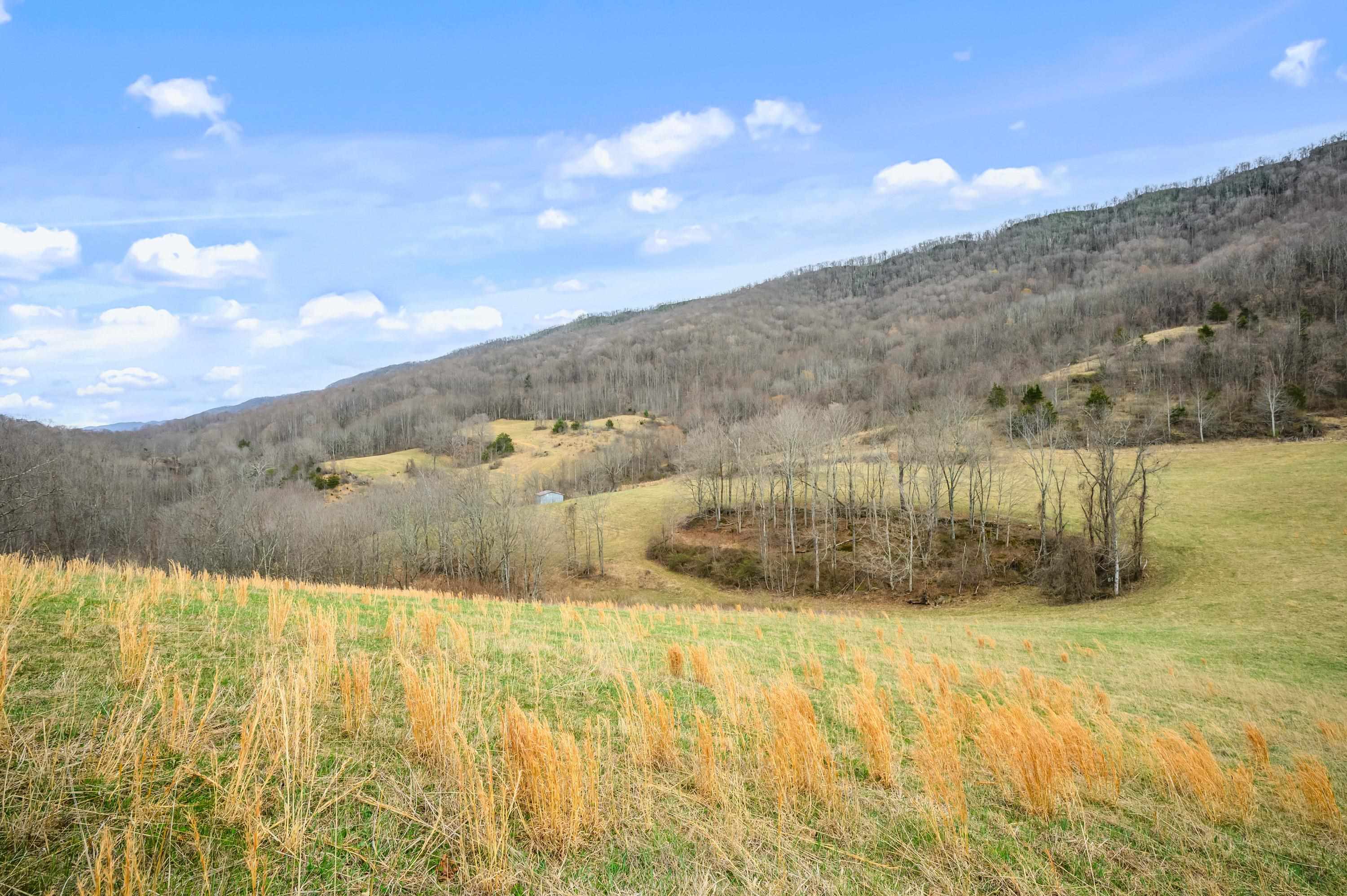 568 Round Bottom Drive Narrows VA 24124