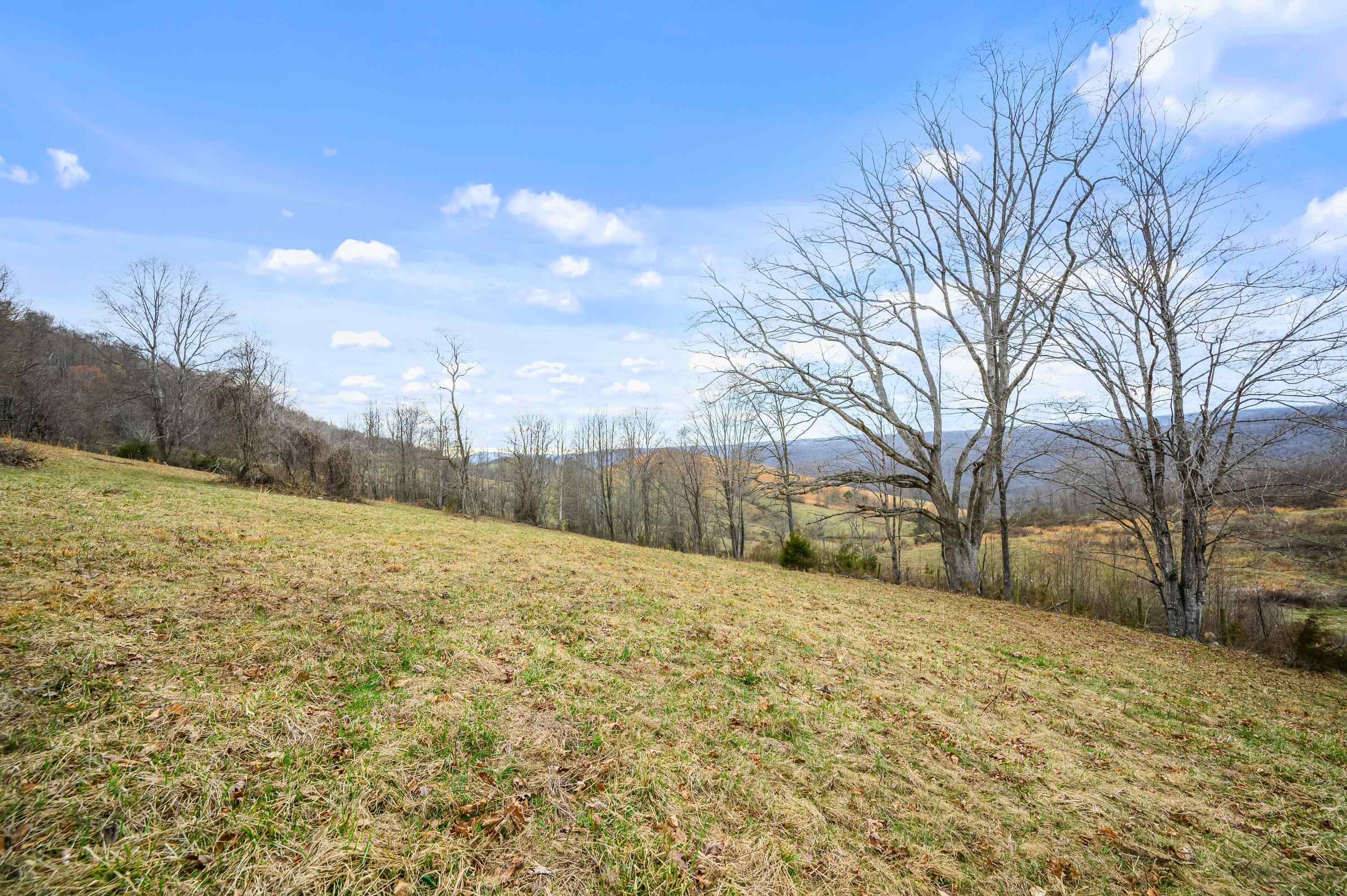 568 Round Bottom Drive Narrows VA 24124