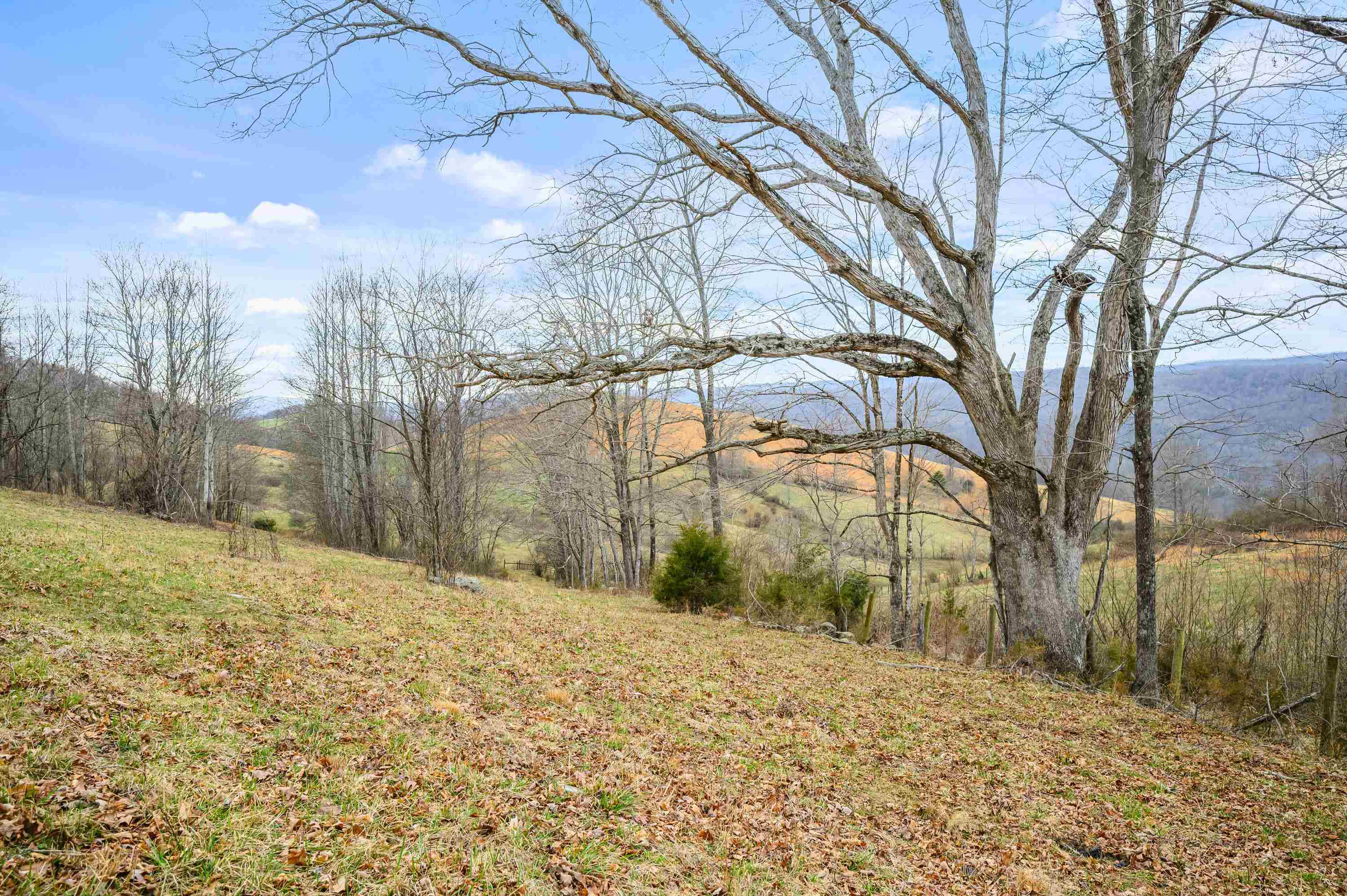 568 Round Bottom Drive Narrows VA 24124