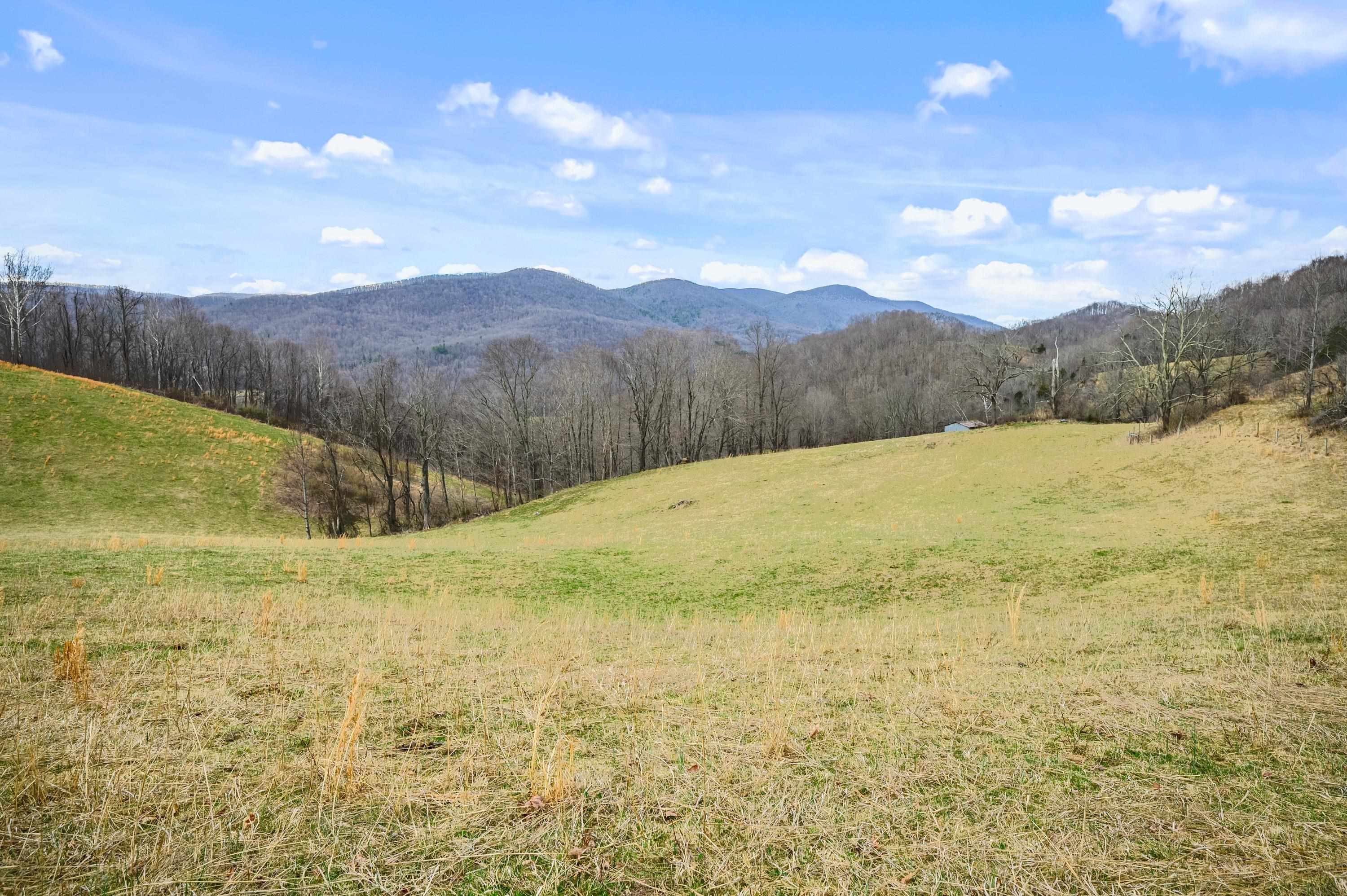 568 Round Bottom Drive Narrows VA 24124